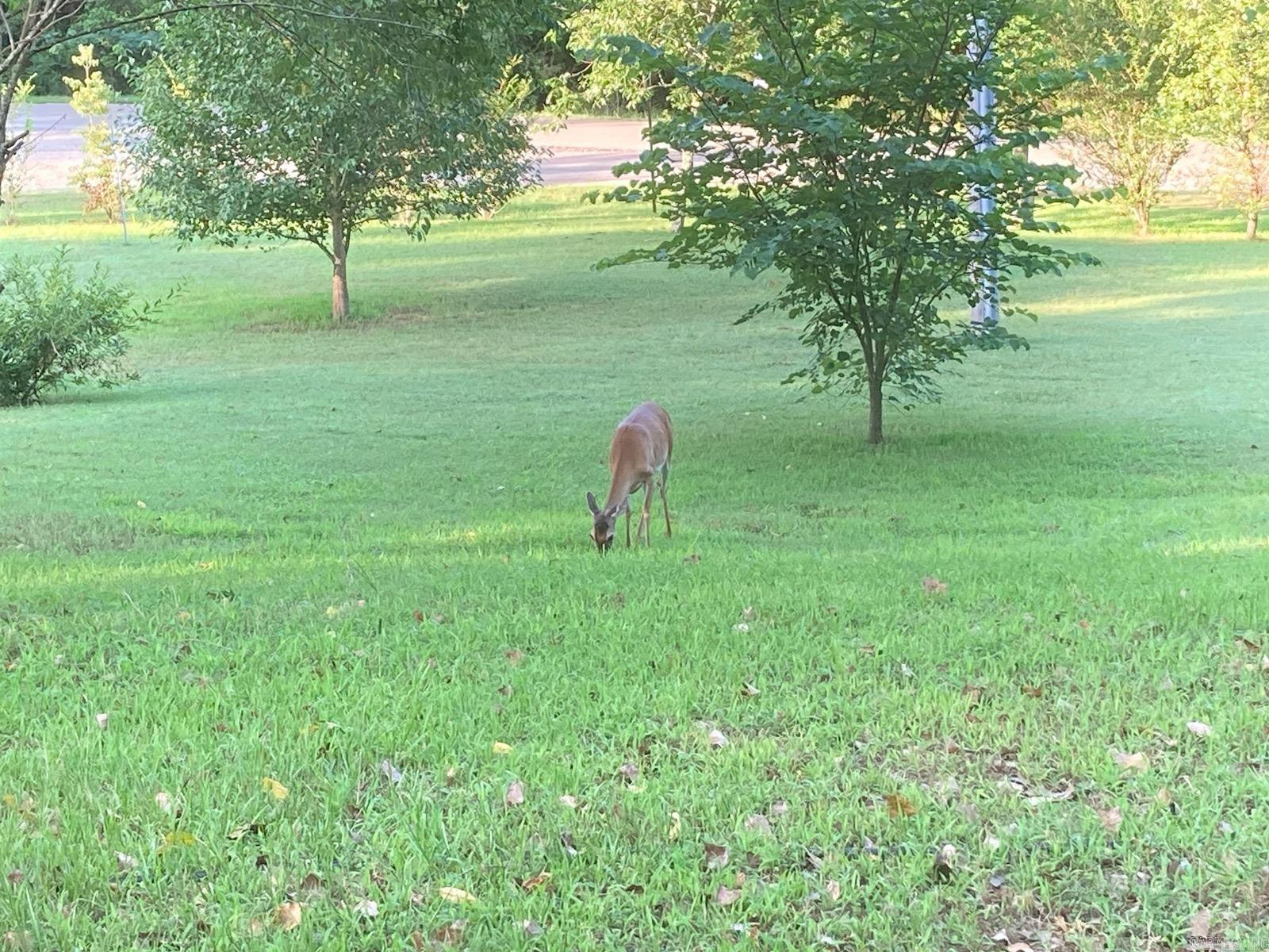 416 Polk Road 168  Mena, AR