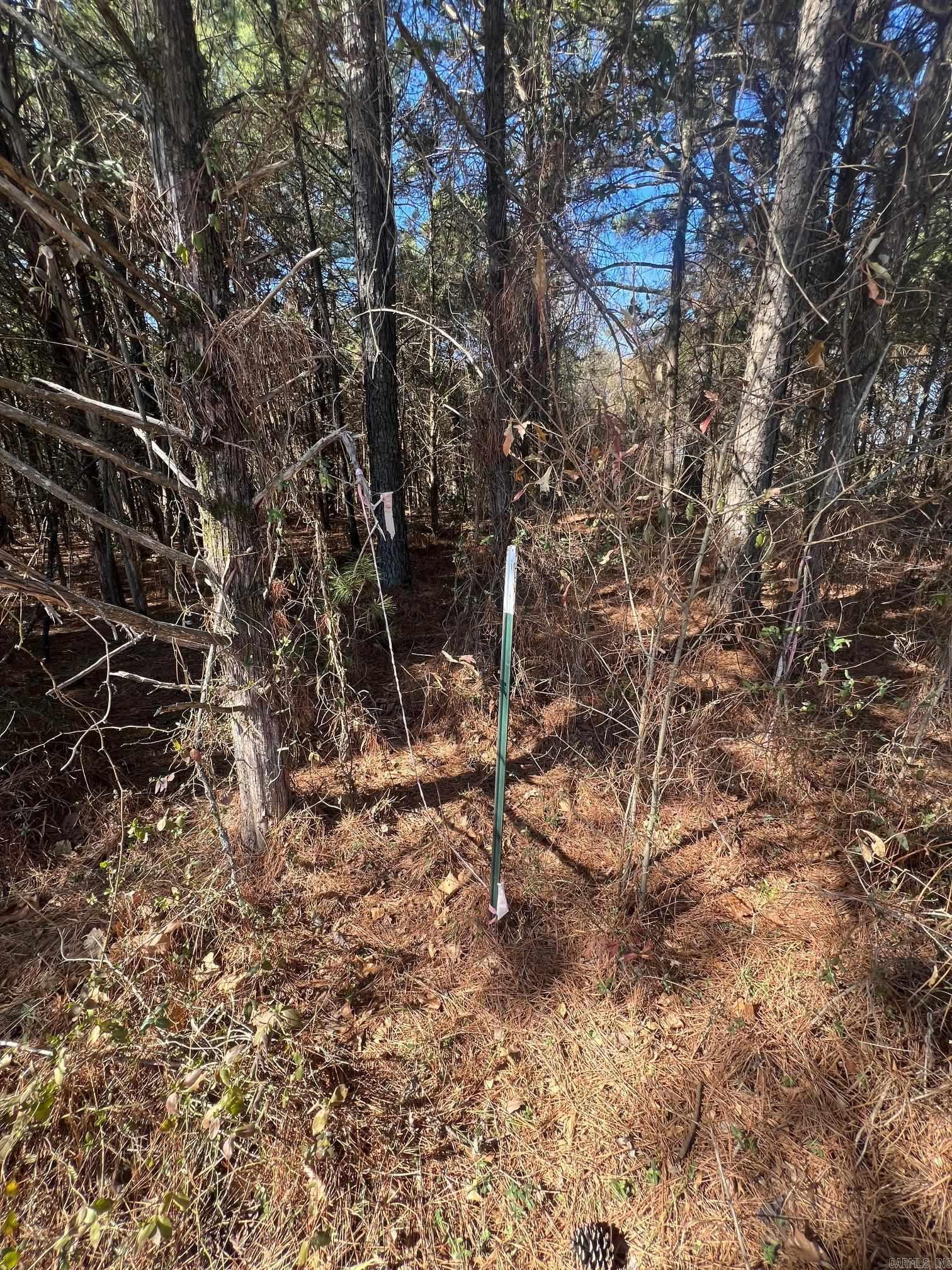 00 wells rd  Bald Knob, AR