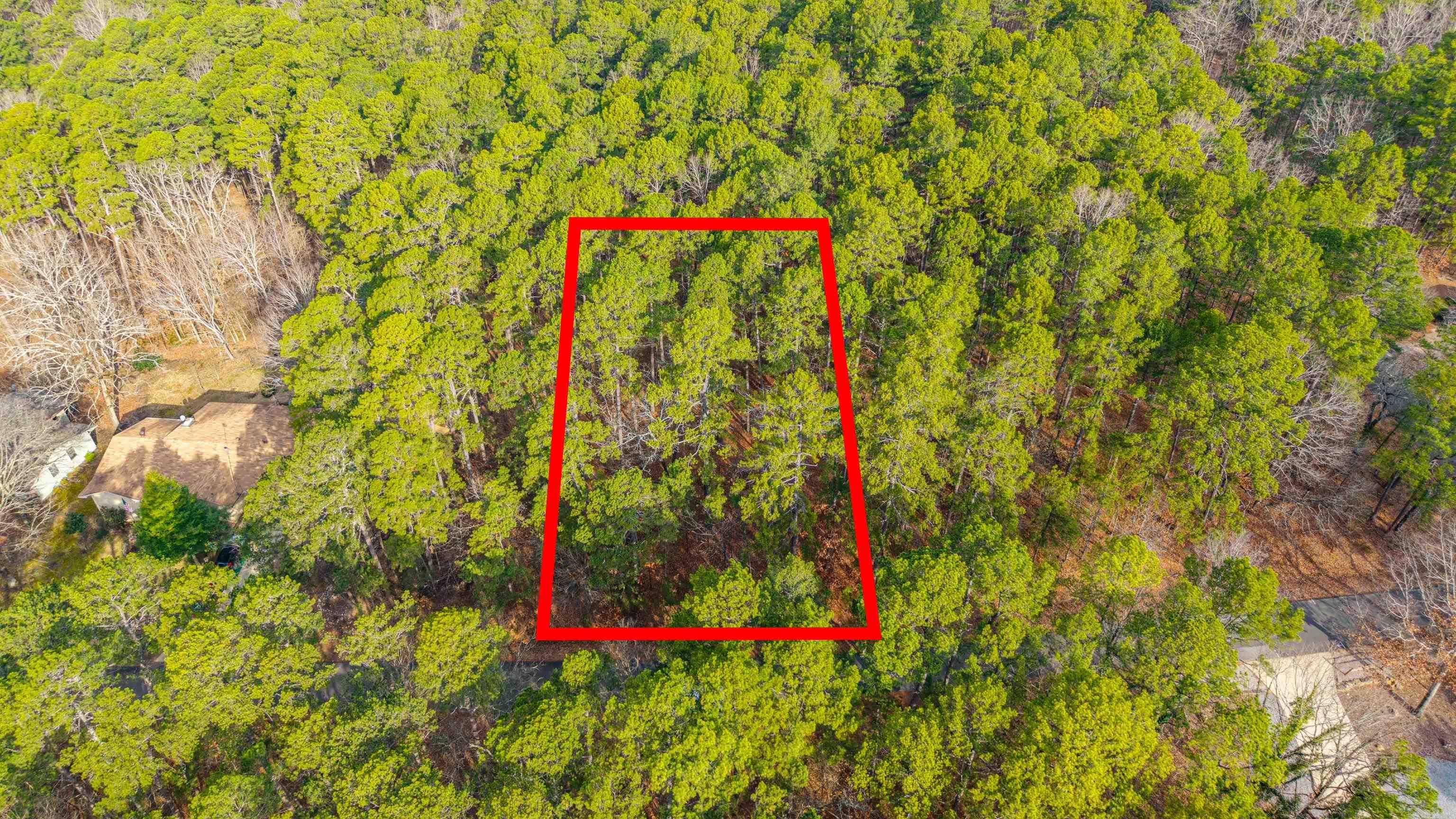 XX Pyrenees  Hot Springs Village, AR