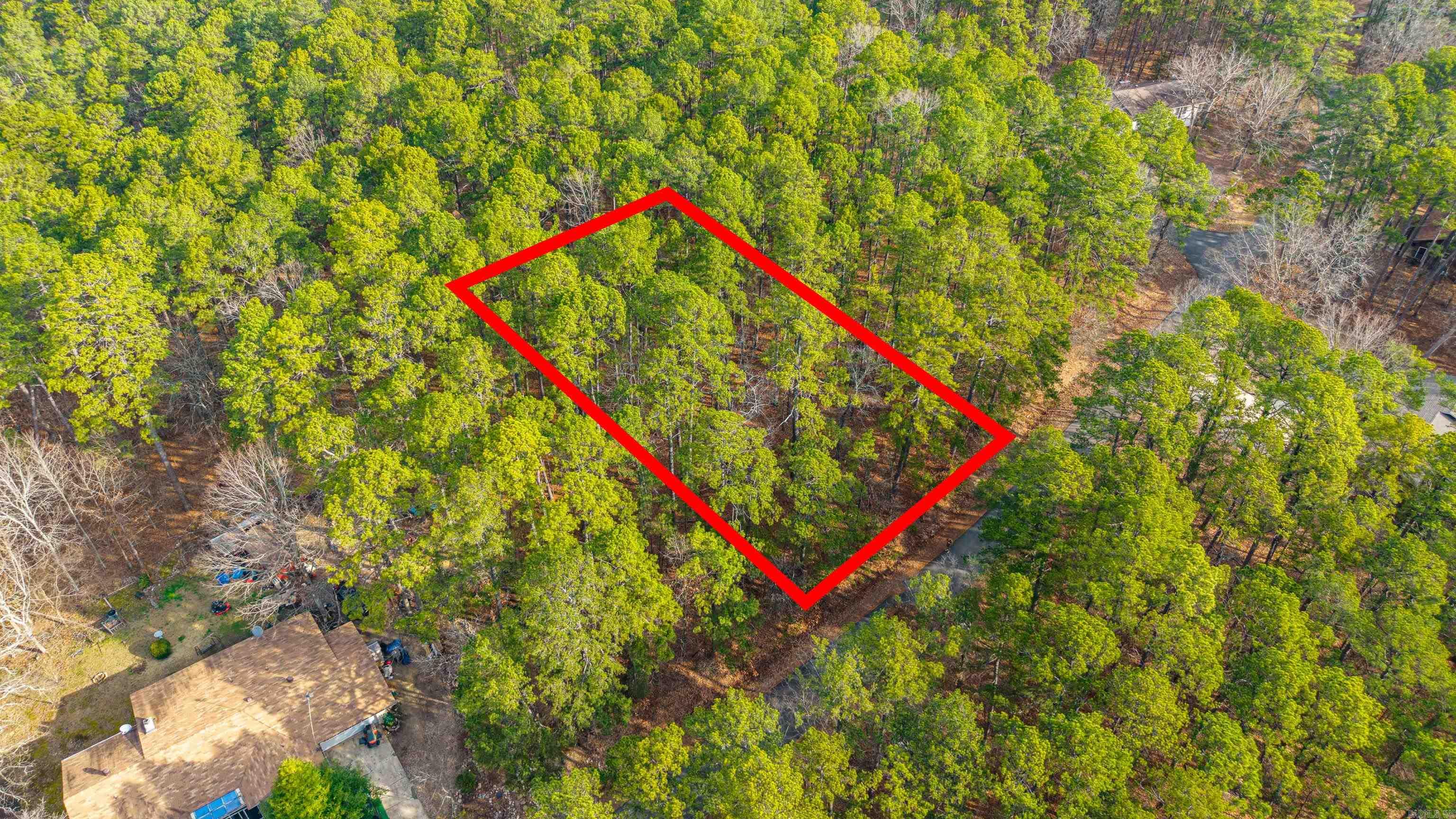 XX Pyrenees  Hot Springs Village, AR