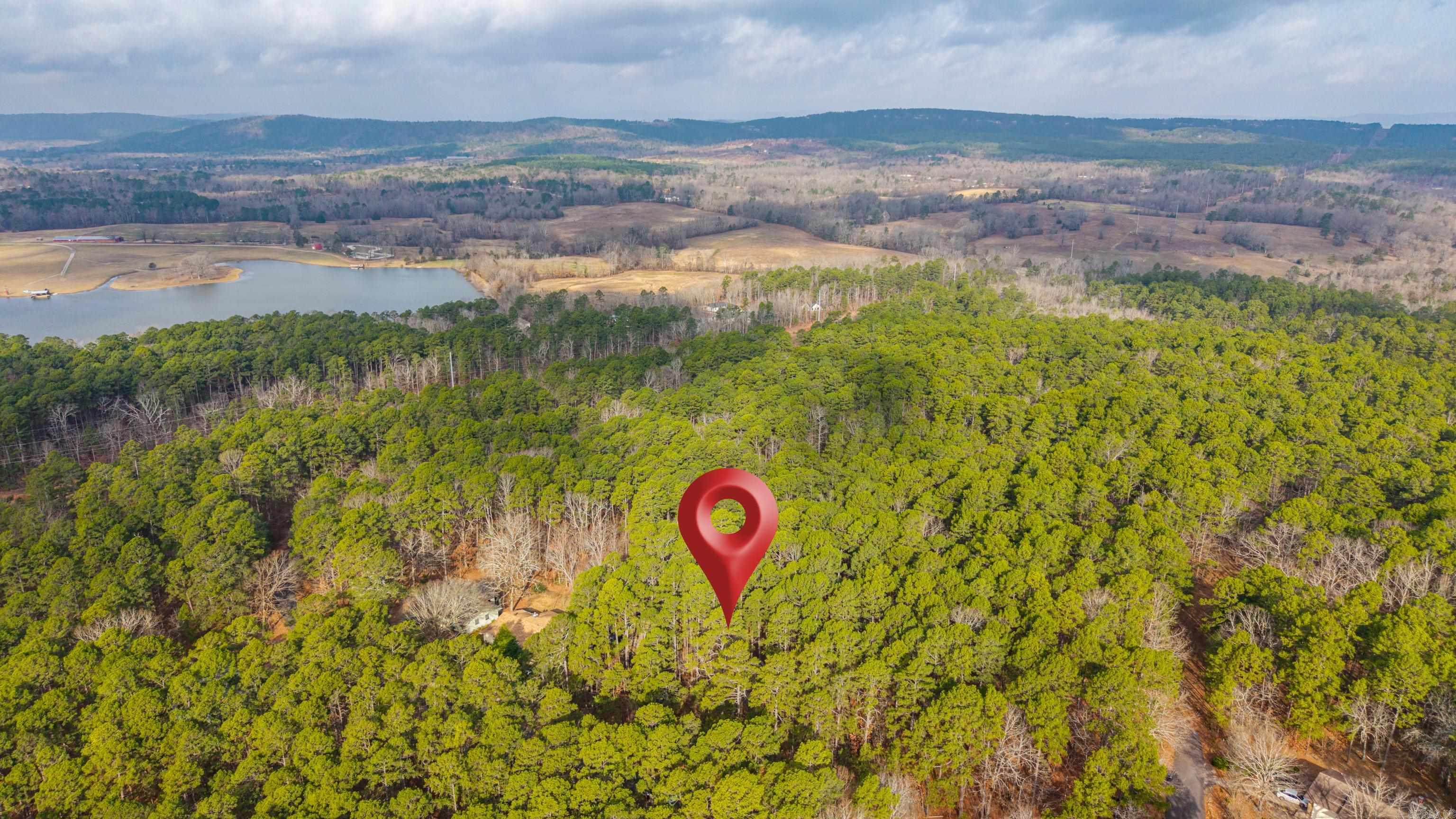 XX Pyrenees  Hot Springs Village, AR