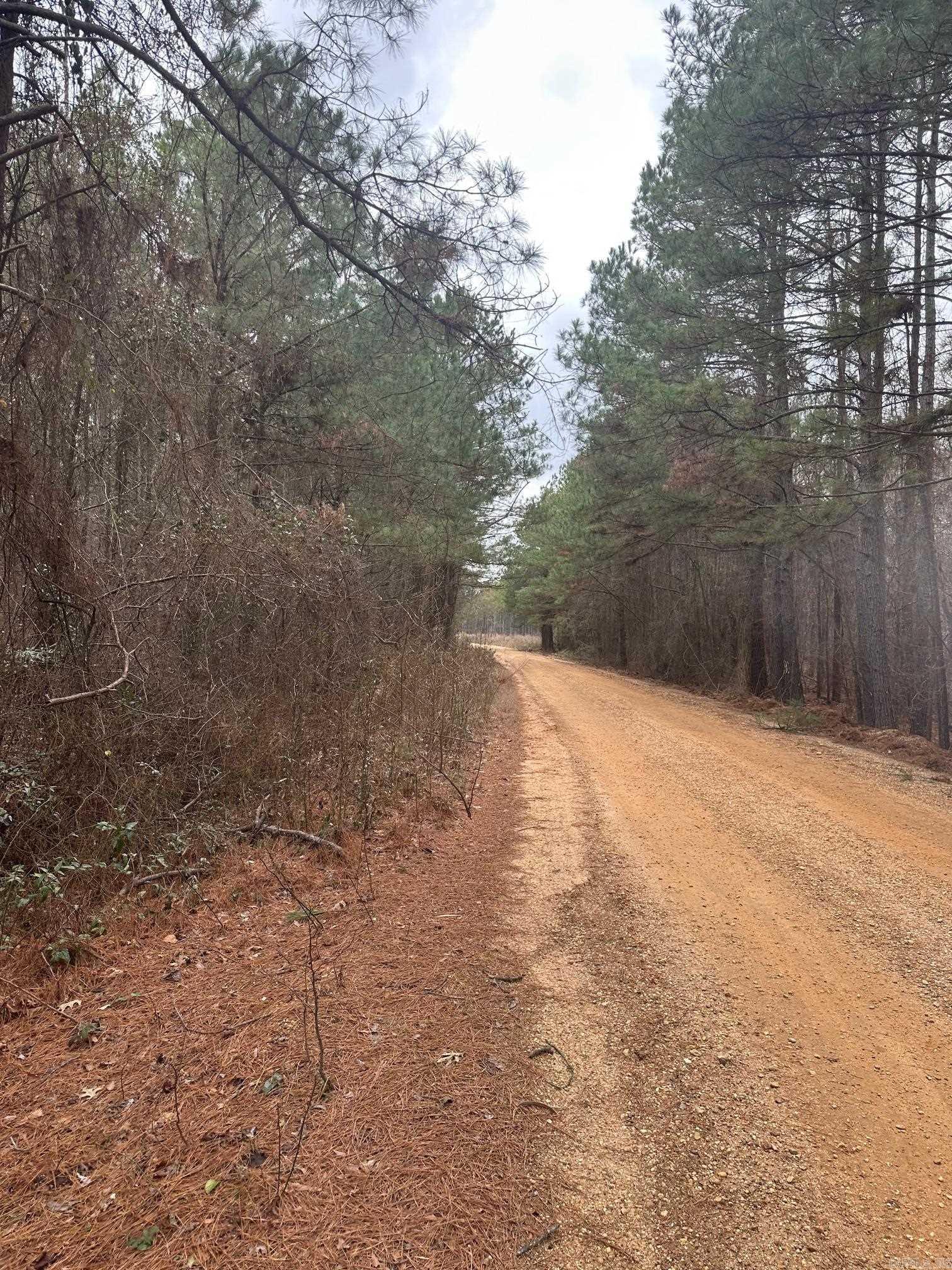 000 county rd 229  Crossett, AR