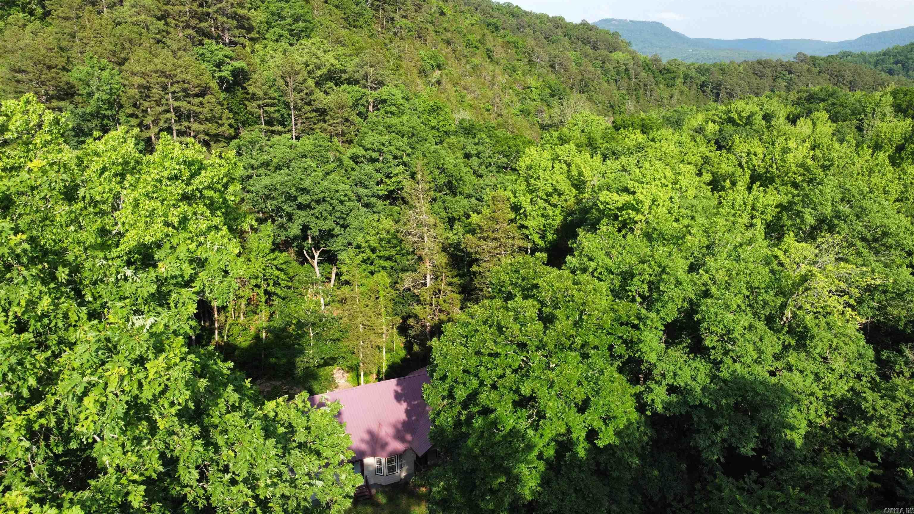4137 NC 8167  Jasper, AR