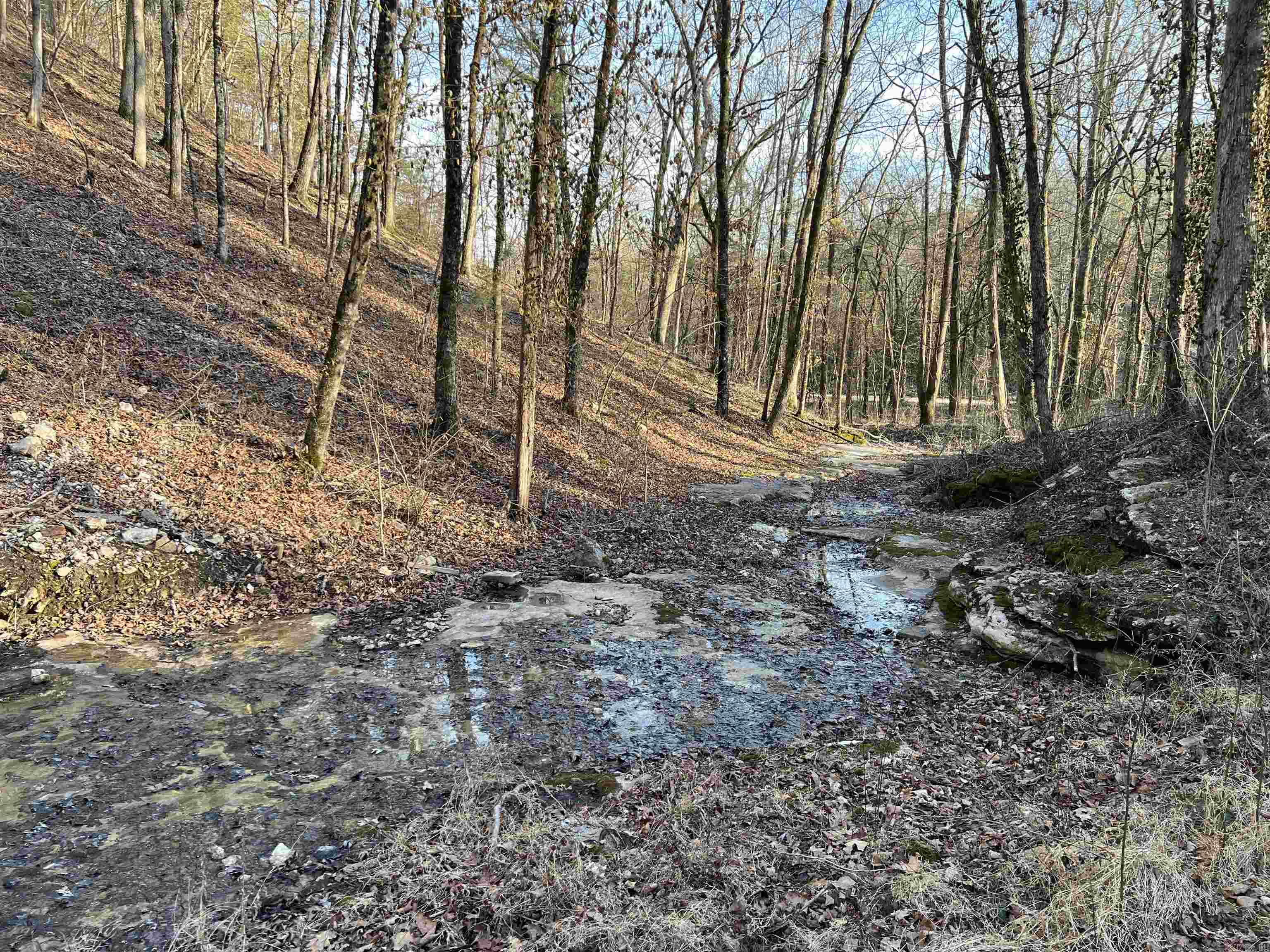 4137 NC 8167  Jasper, AR