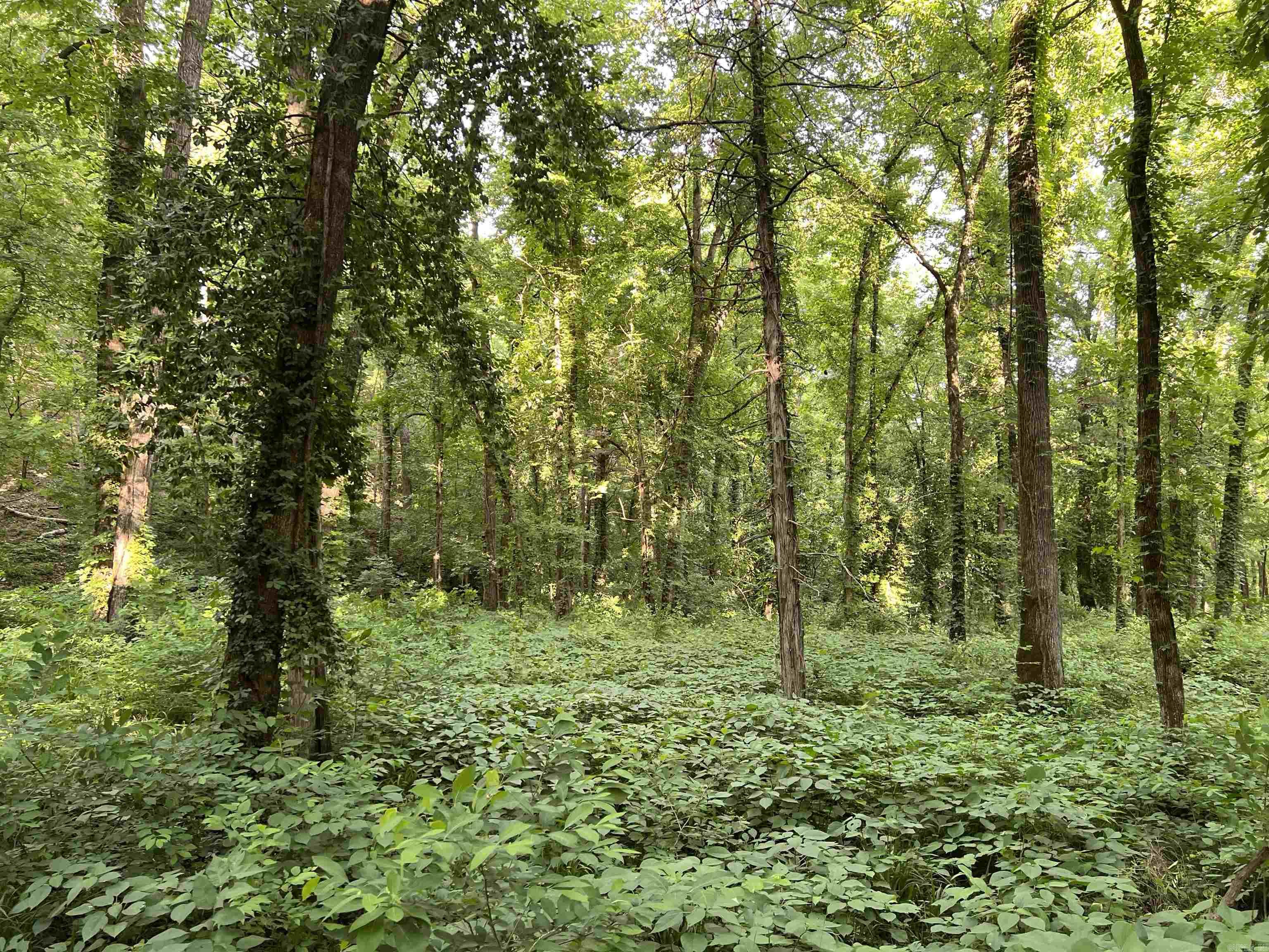 4137 NC 8167  Jasper, AR