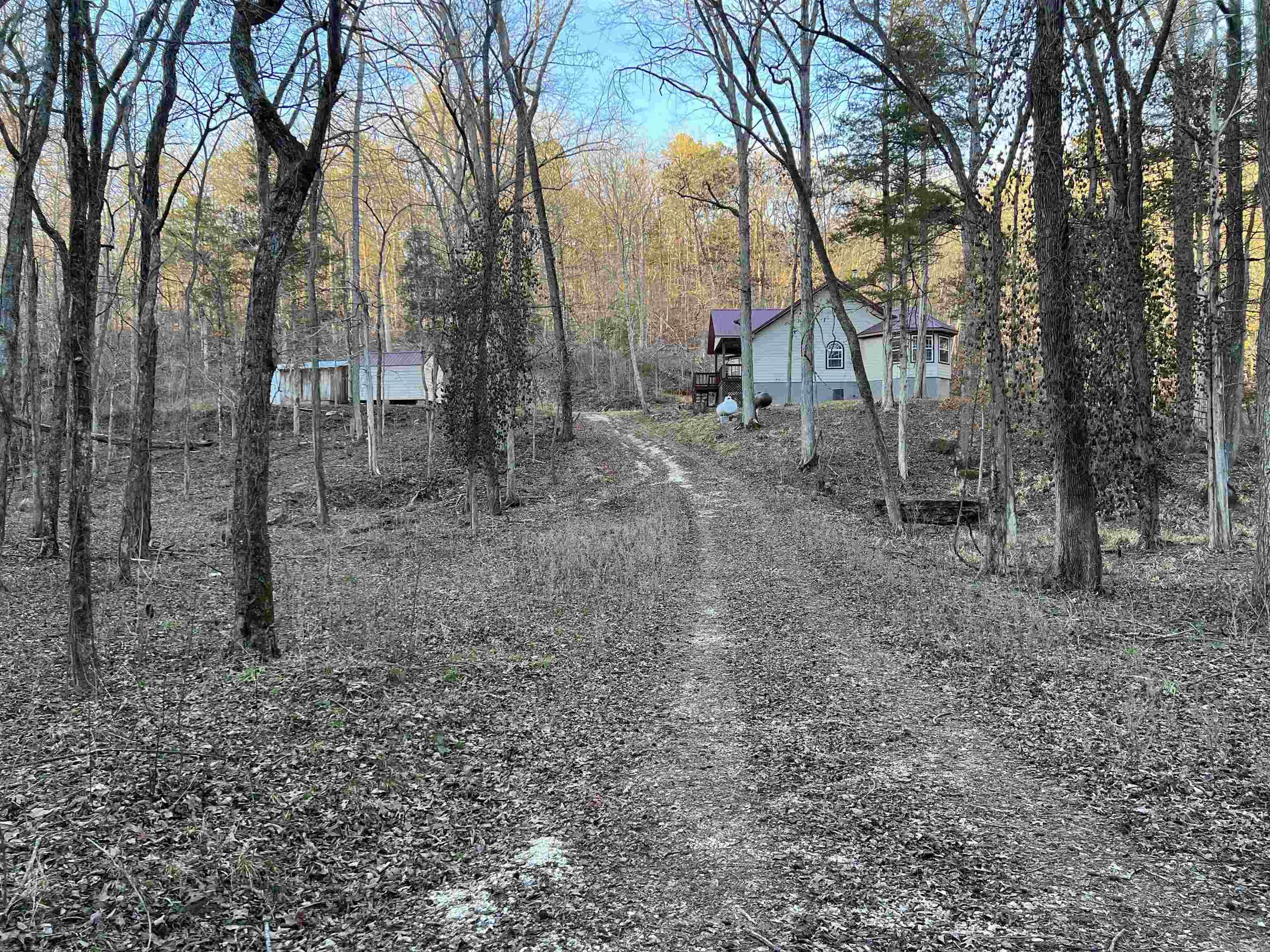 4137 NC 8167  Jasper, AR