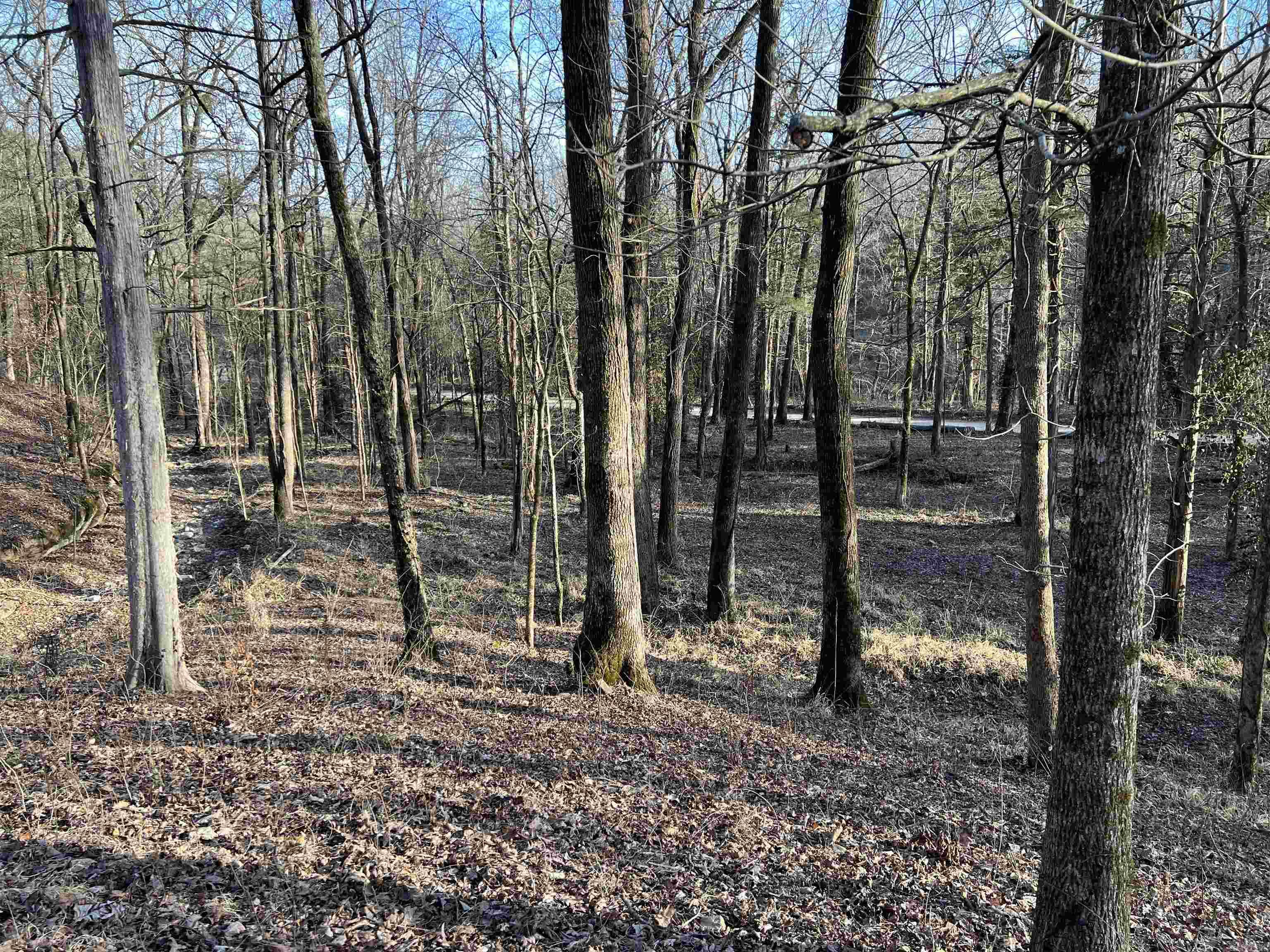 4137 NC 8167  Jasper, AR