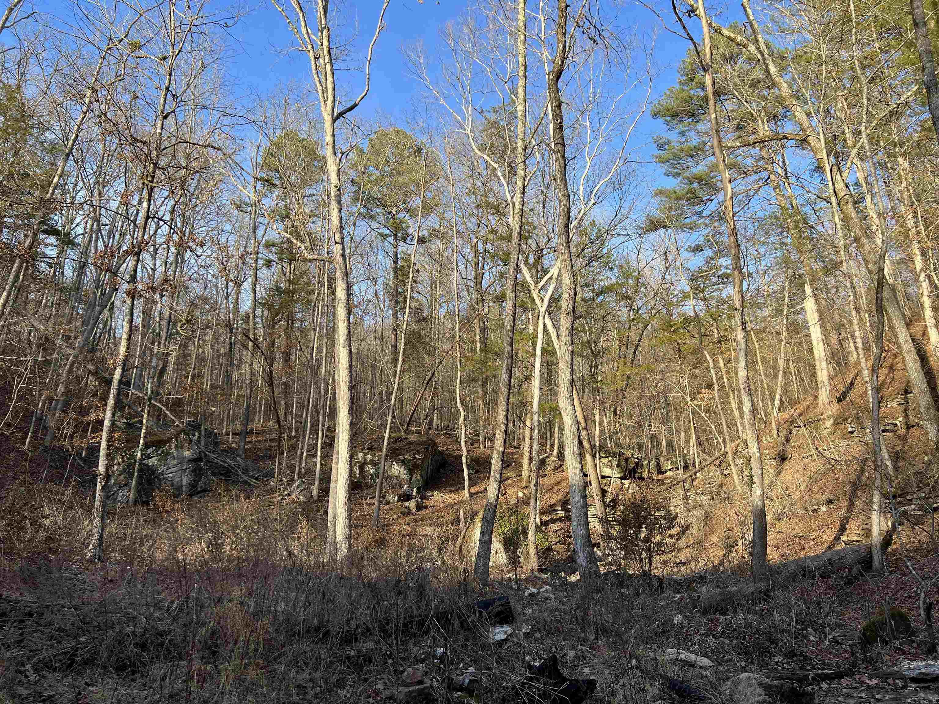 4137 NC 8167  Jasper, AR