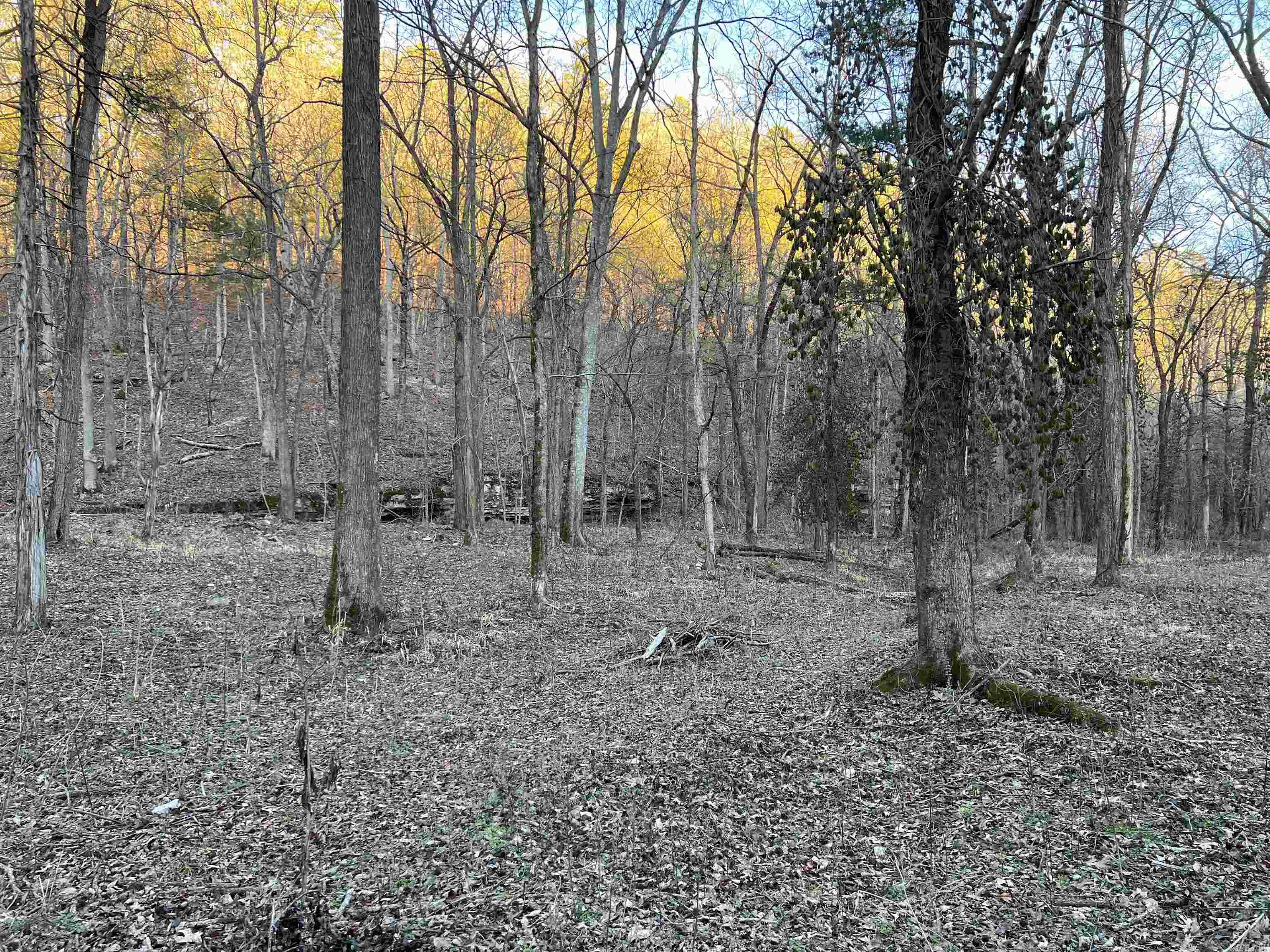 4137 NC 8167  Jasper, AR