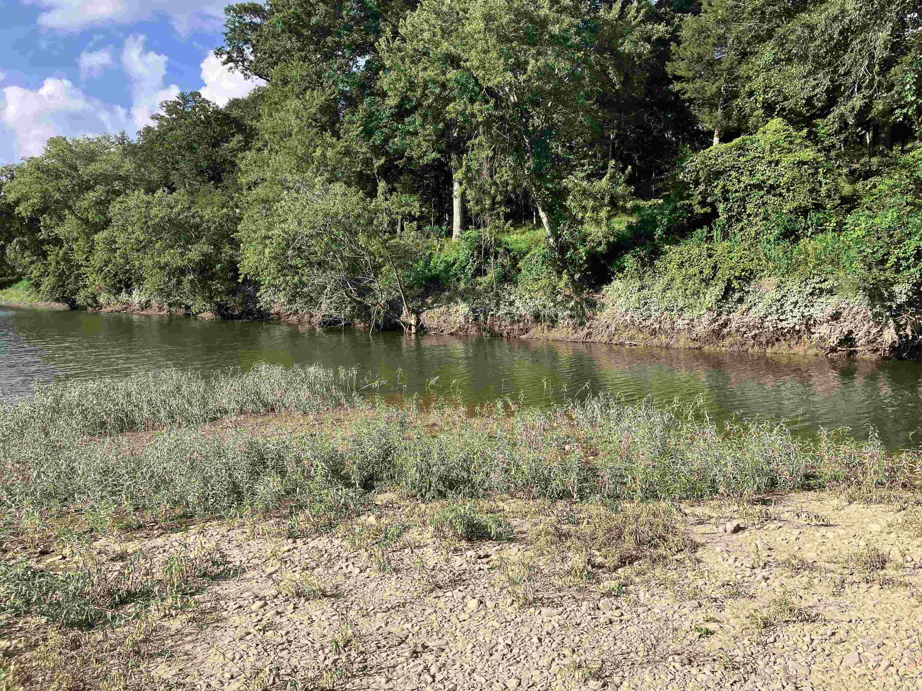 89 Riverfront Drive  Pencil Bluff, AR