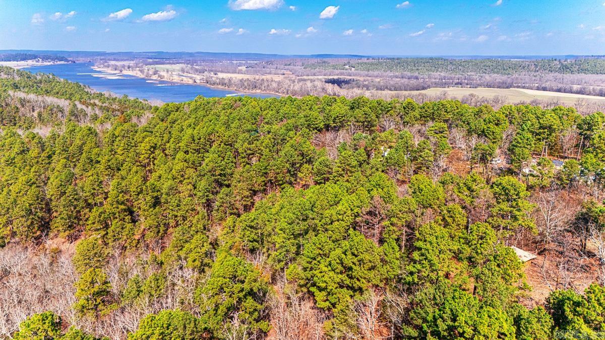 225 Ledwedge  Bigelow, AR