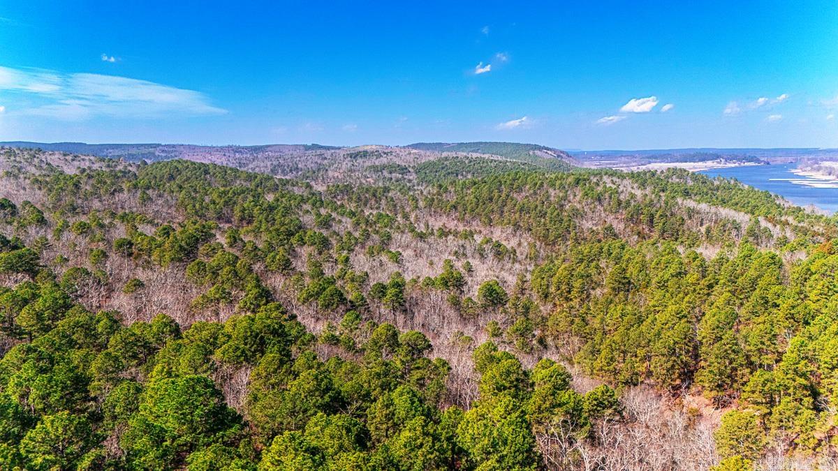 225 Ledwedge  Bigelow, AR