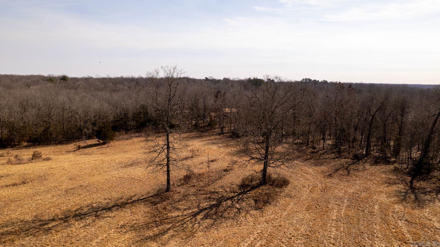 000 W With Road  Mammoth Spring, AR