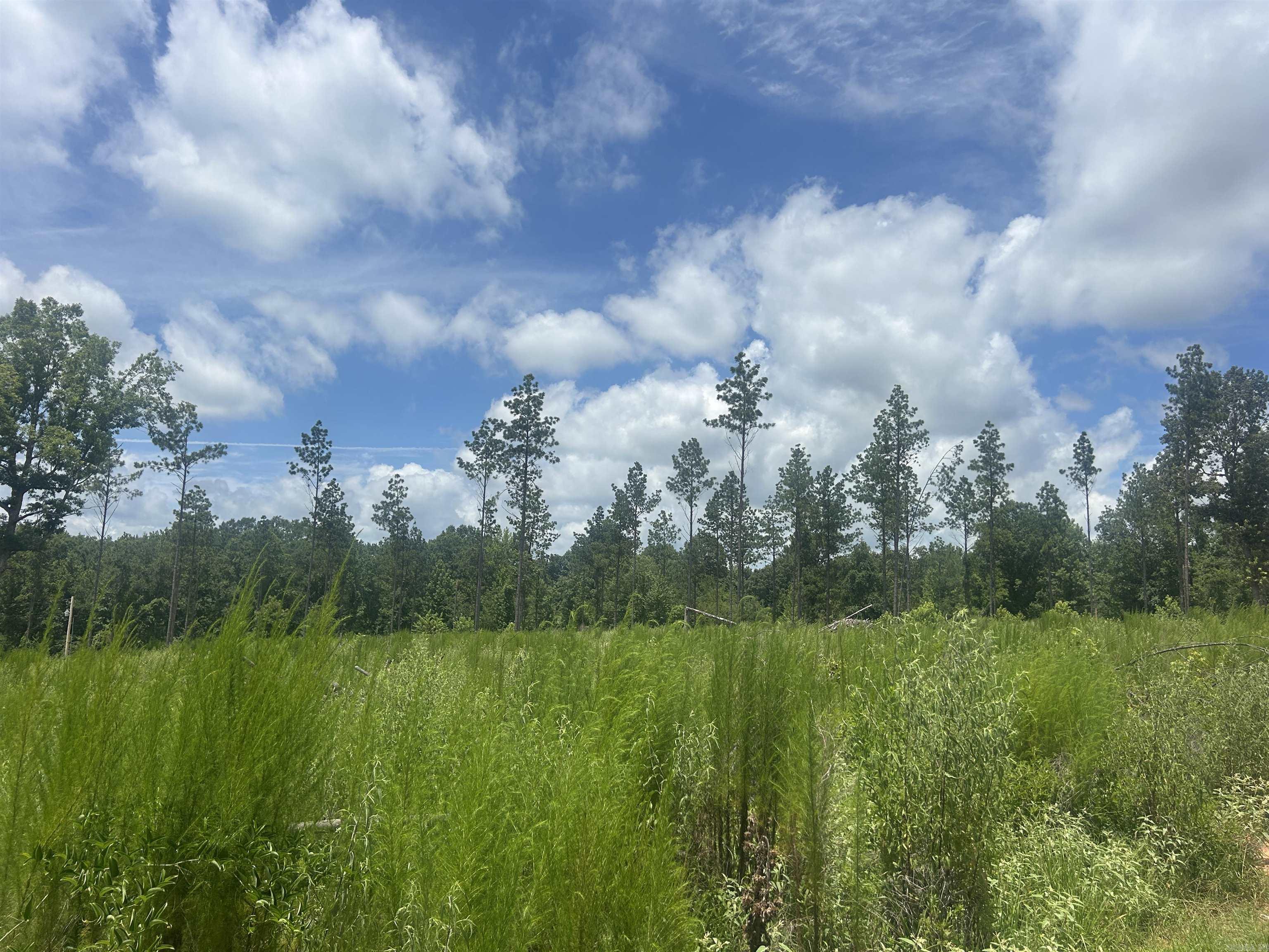 0 Grant 433  Sheridan, AR