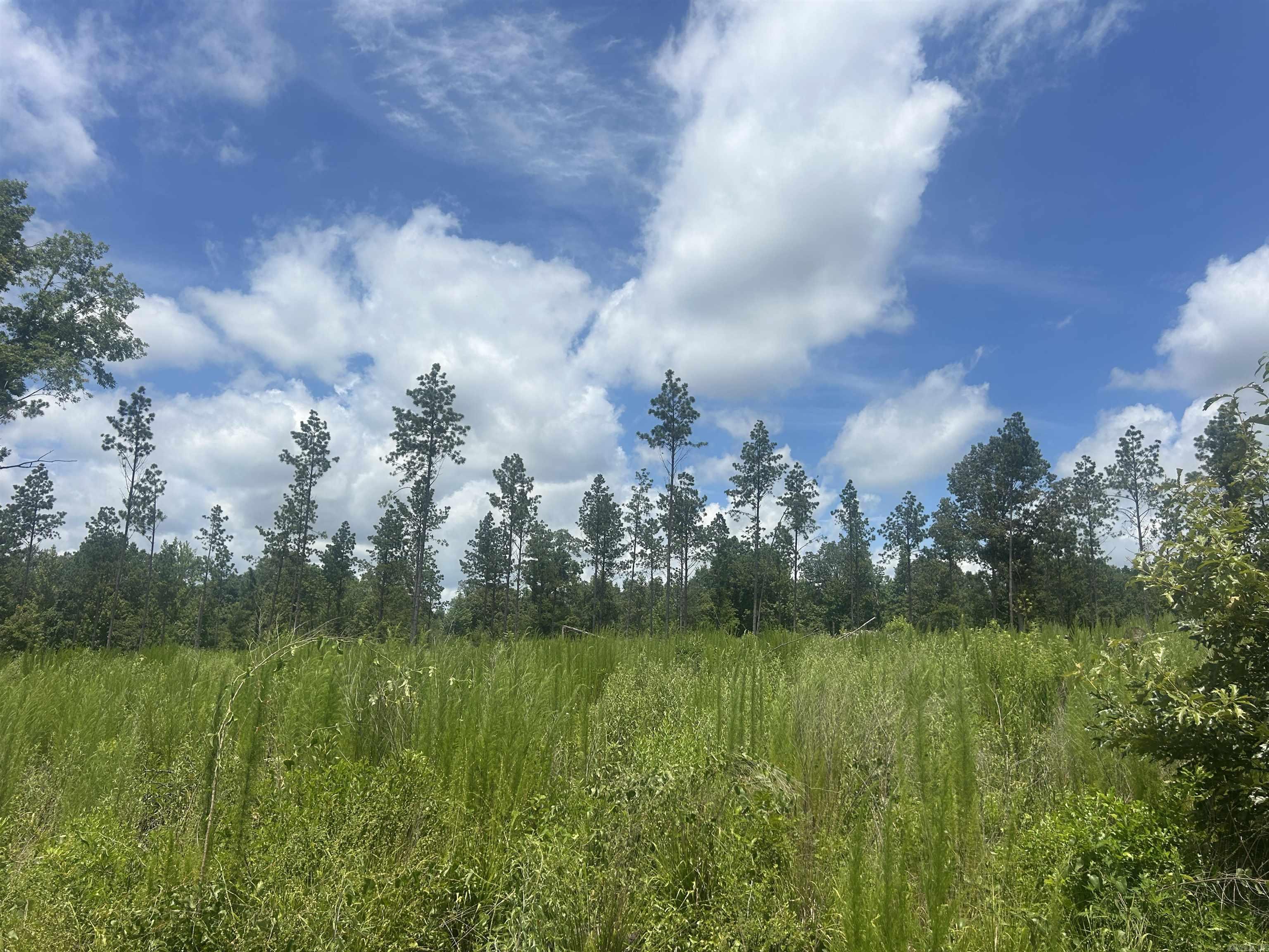 0 Grant 433  Sheridan, AR