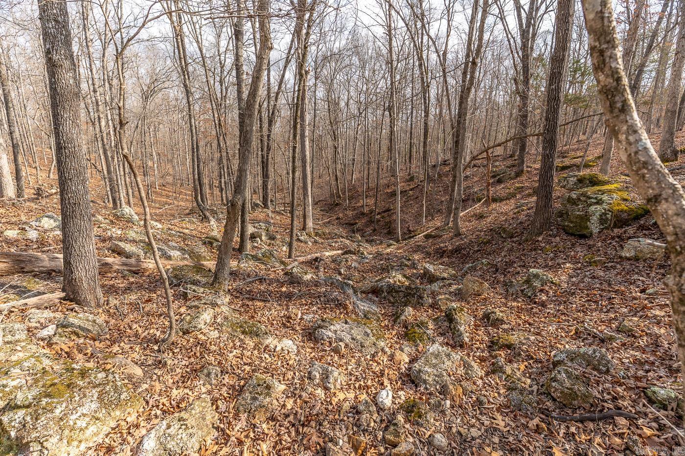 000 Barnes  Evening Shade, AR