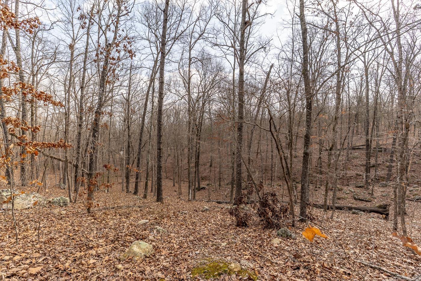 000 Barnes  Evening Shade, AR