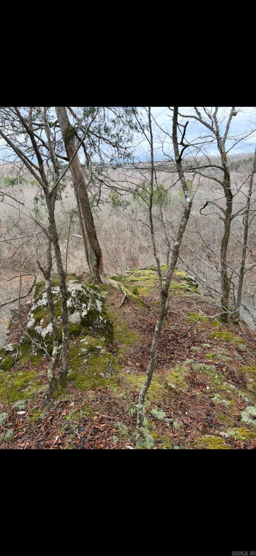 000 Barnes  Evening Shade, AR