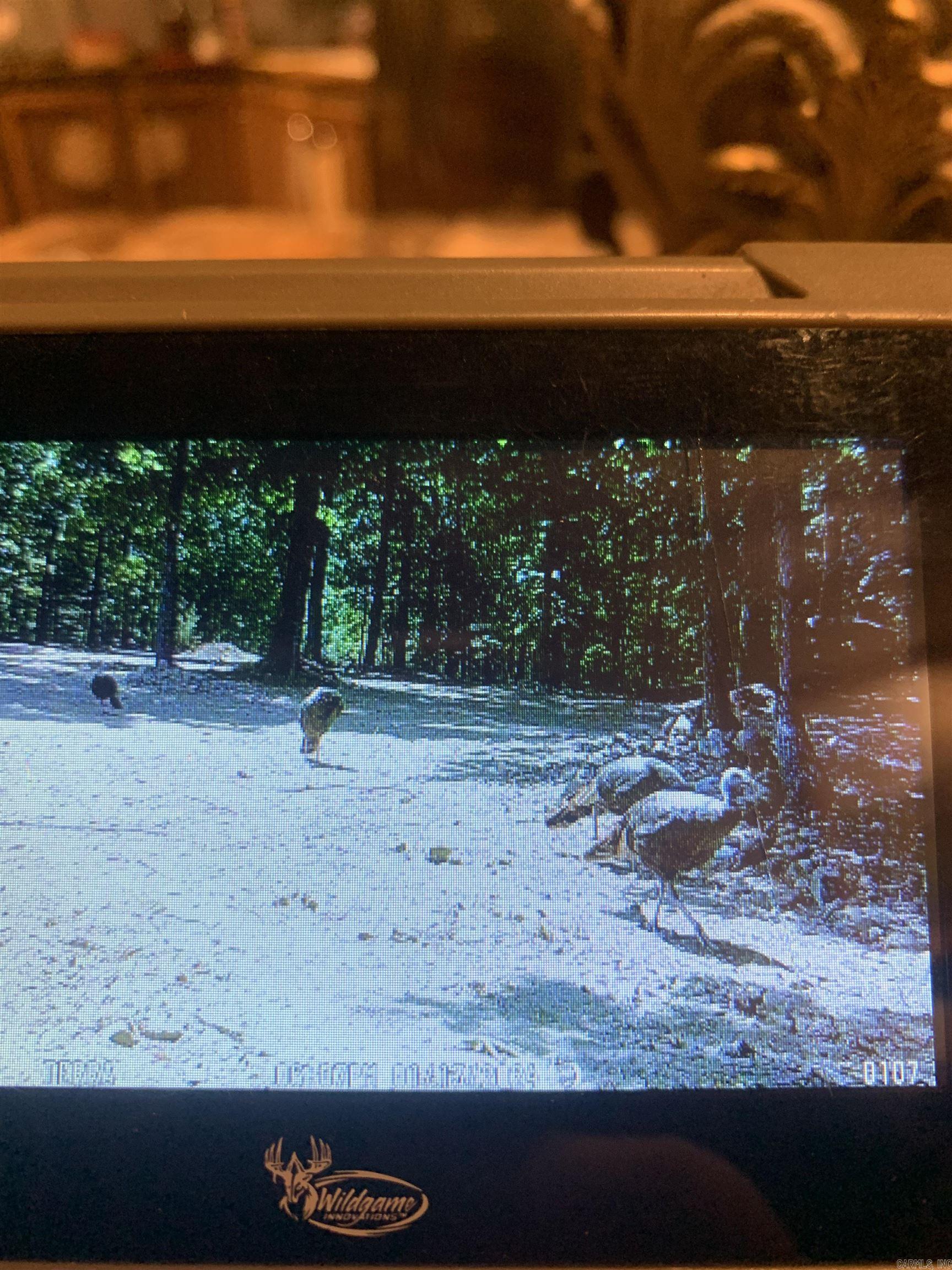 000 Barnes  Evening Shade, AR