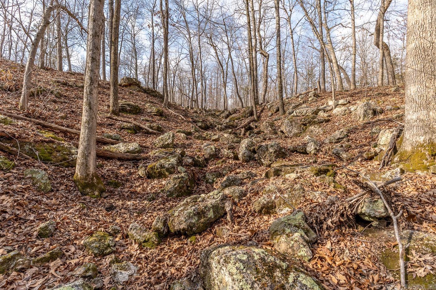 000 Barnes  Evening Shade, AR