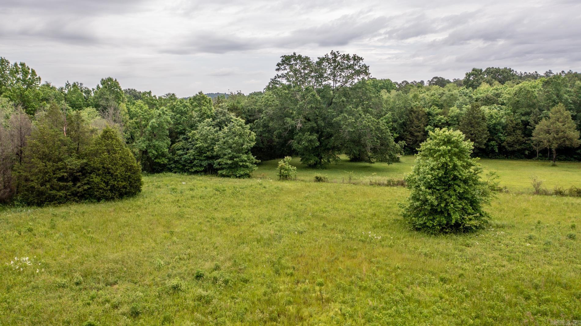 3 ridgedale  Conway, AR