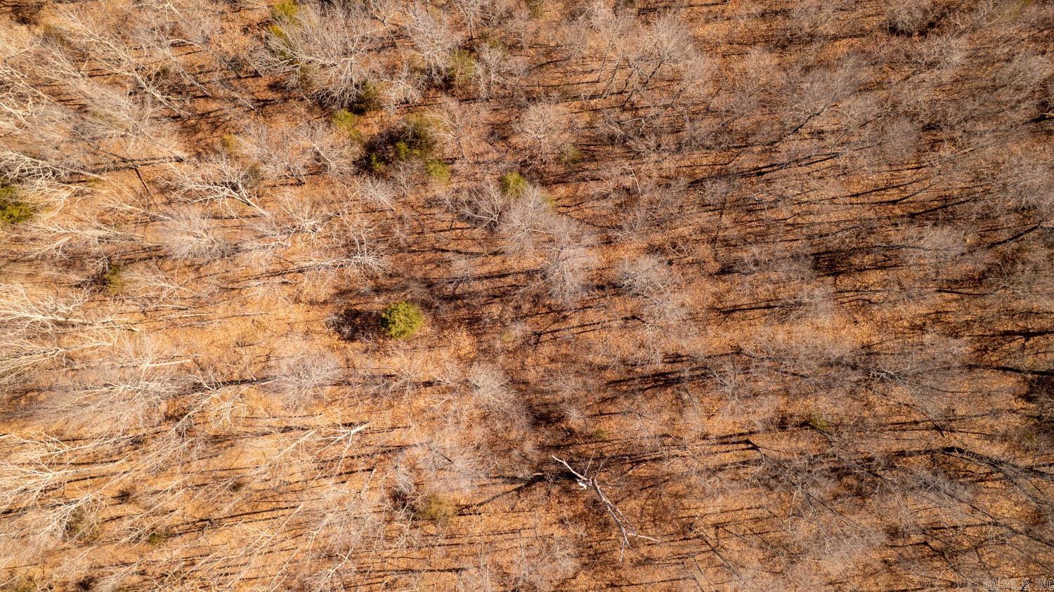 000 W Wirth Road  Mammoth Spring, AR