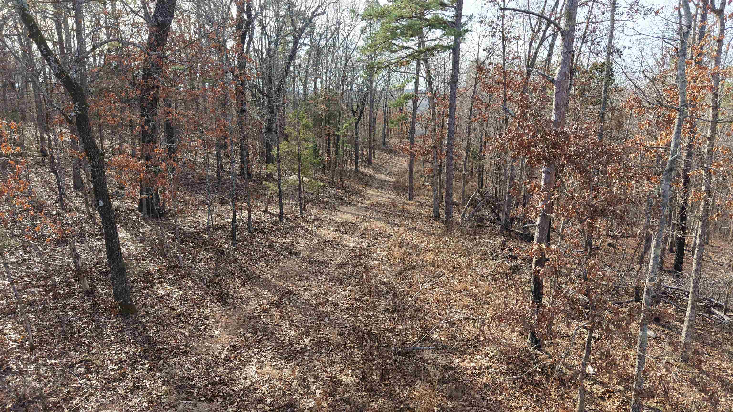 120A Campground Road  Wideman, AR