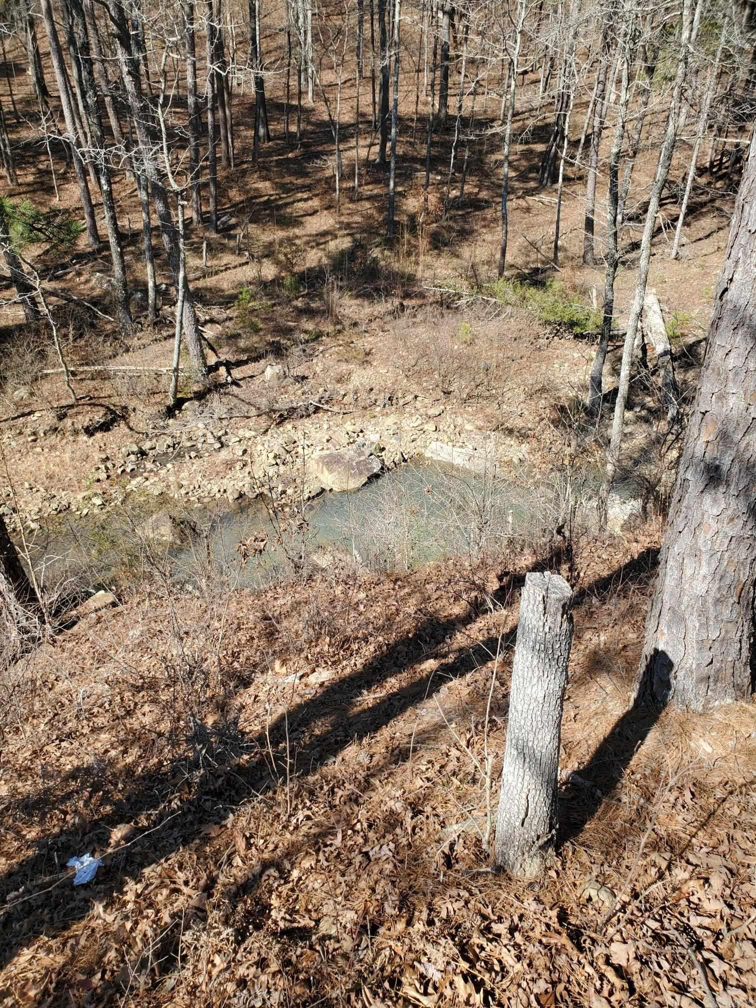 567 Shack Ceek Lane Mena, AR 71953