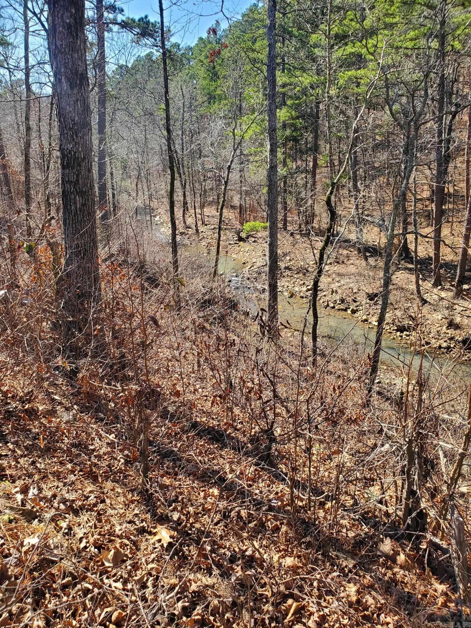 567 Shack Ceek Lane Mena, AR 71953