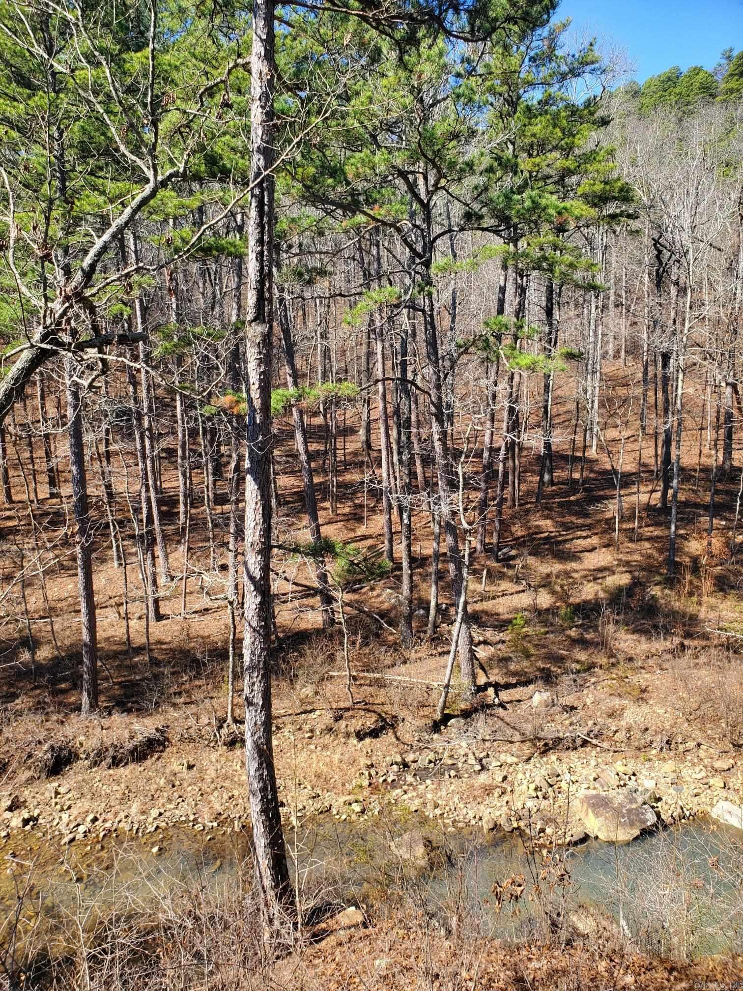 567 Shack Ceek Lane Mena, AR 71953