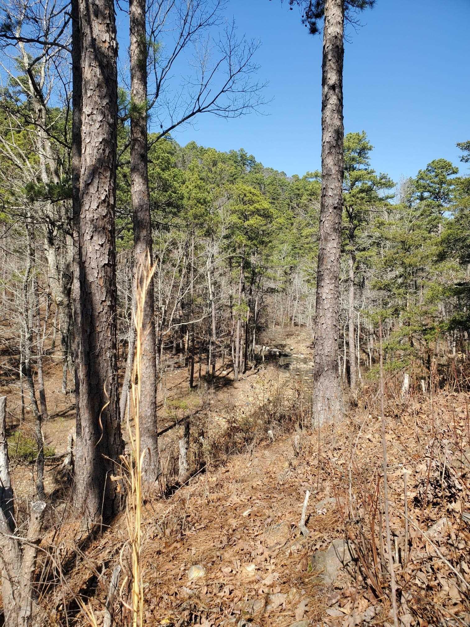 567 Shack Ceek Lane Mena, AR 71953