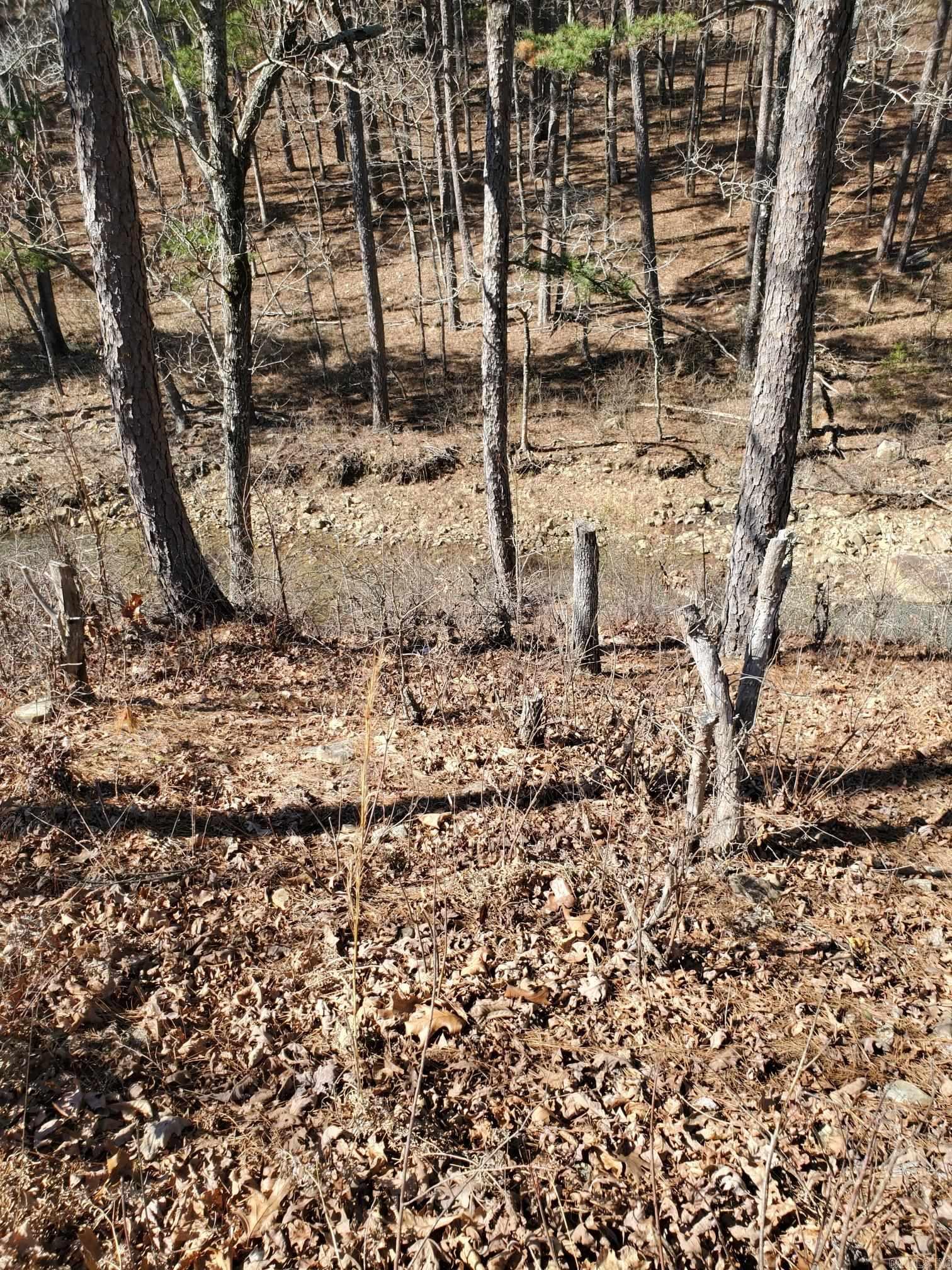 567 Shack Ceek Lane Mena, AR 71953