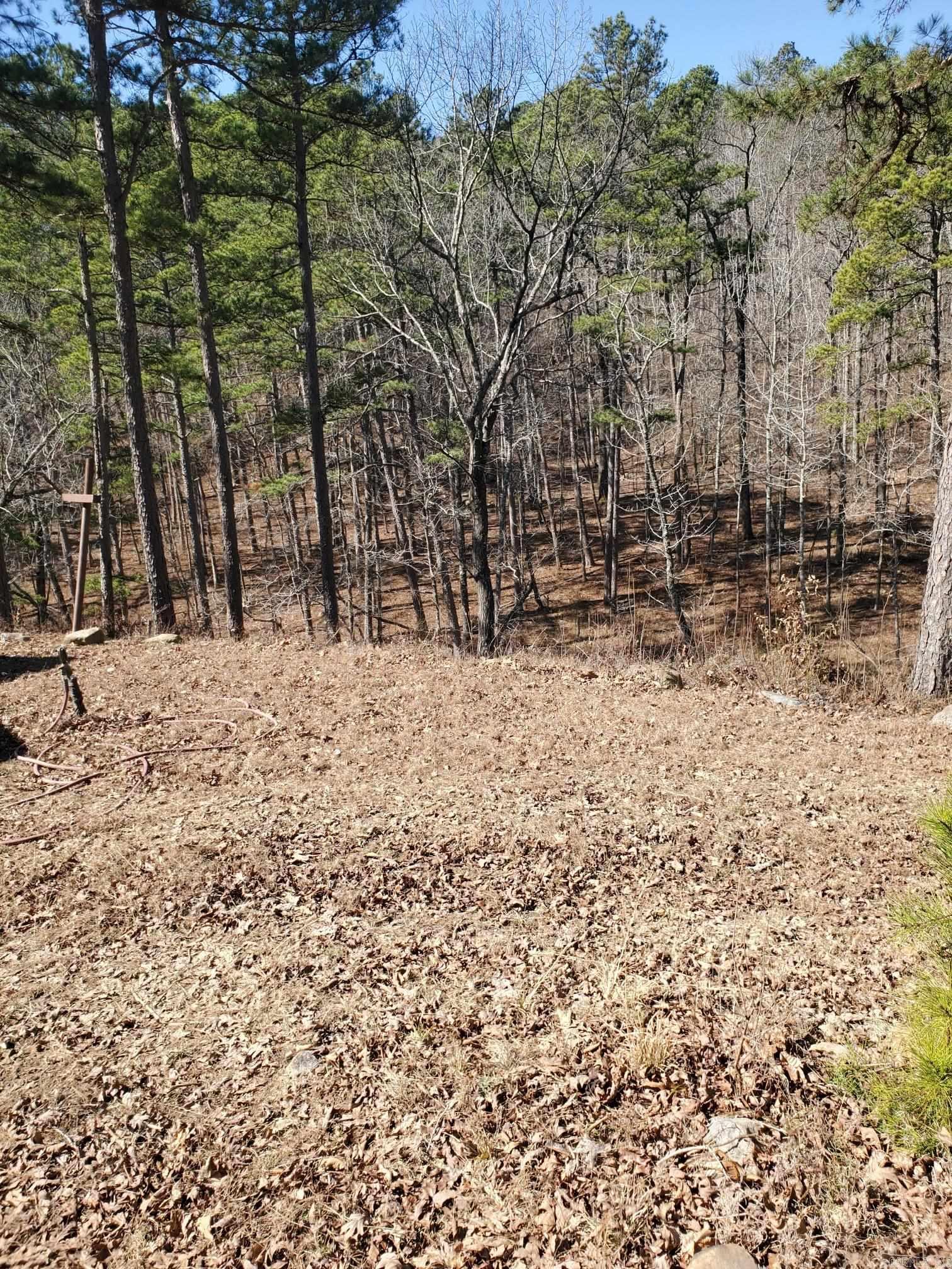 567 Shack Ceek Lane Mena, AR 71953