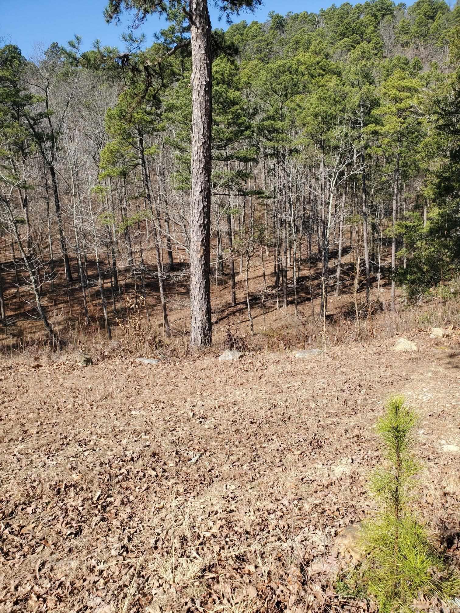 567 Shack Ceek Lane Mena, AR 71953