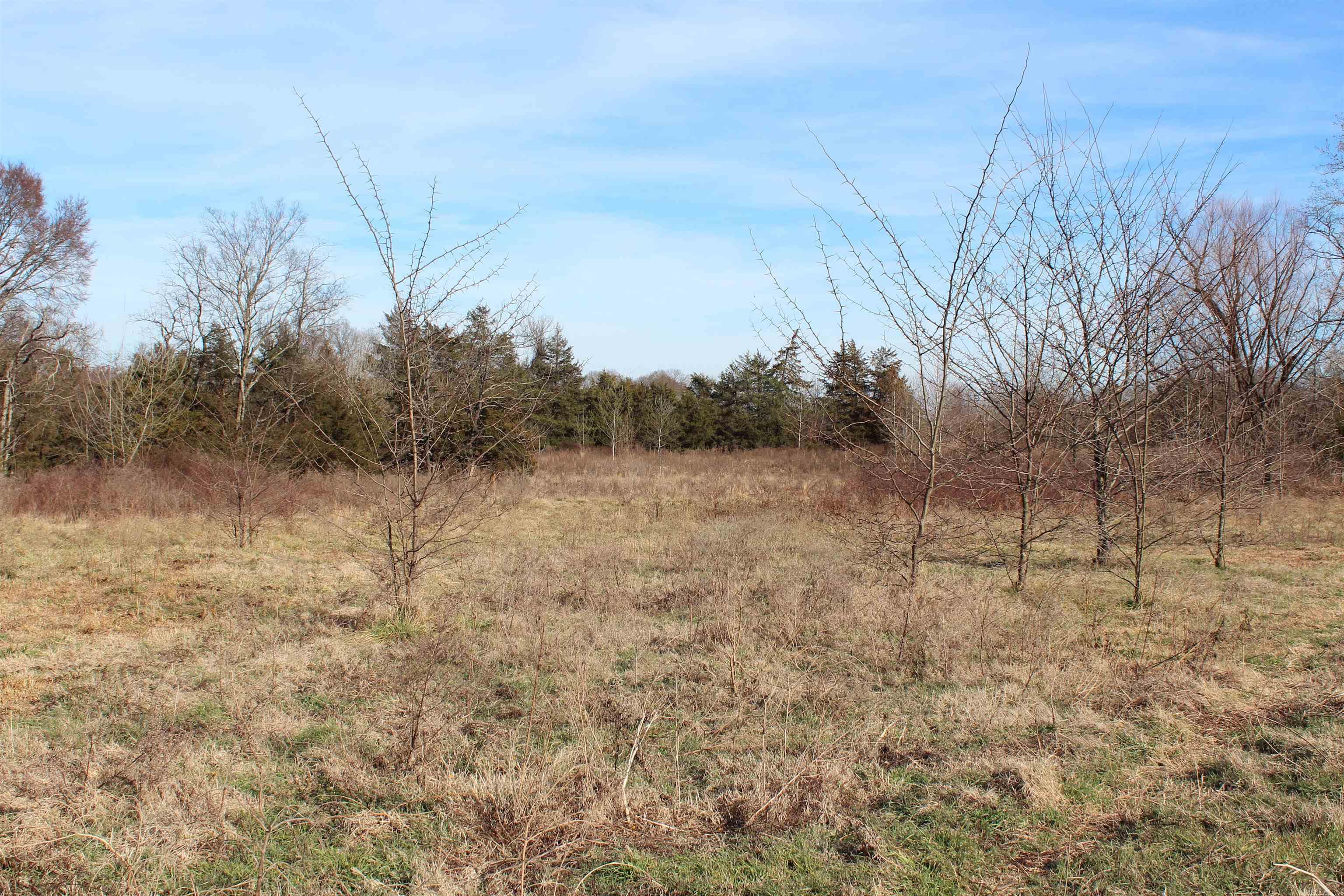 000 Fritsche Road  Scranton, AR