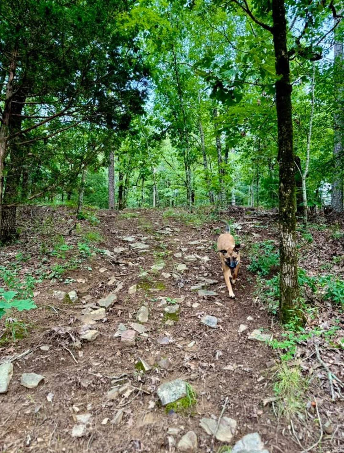 2730 Collins  Conway, AR