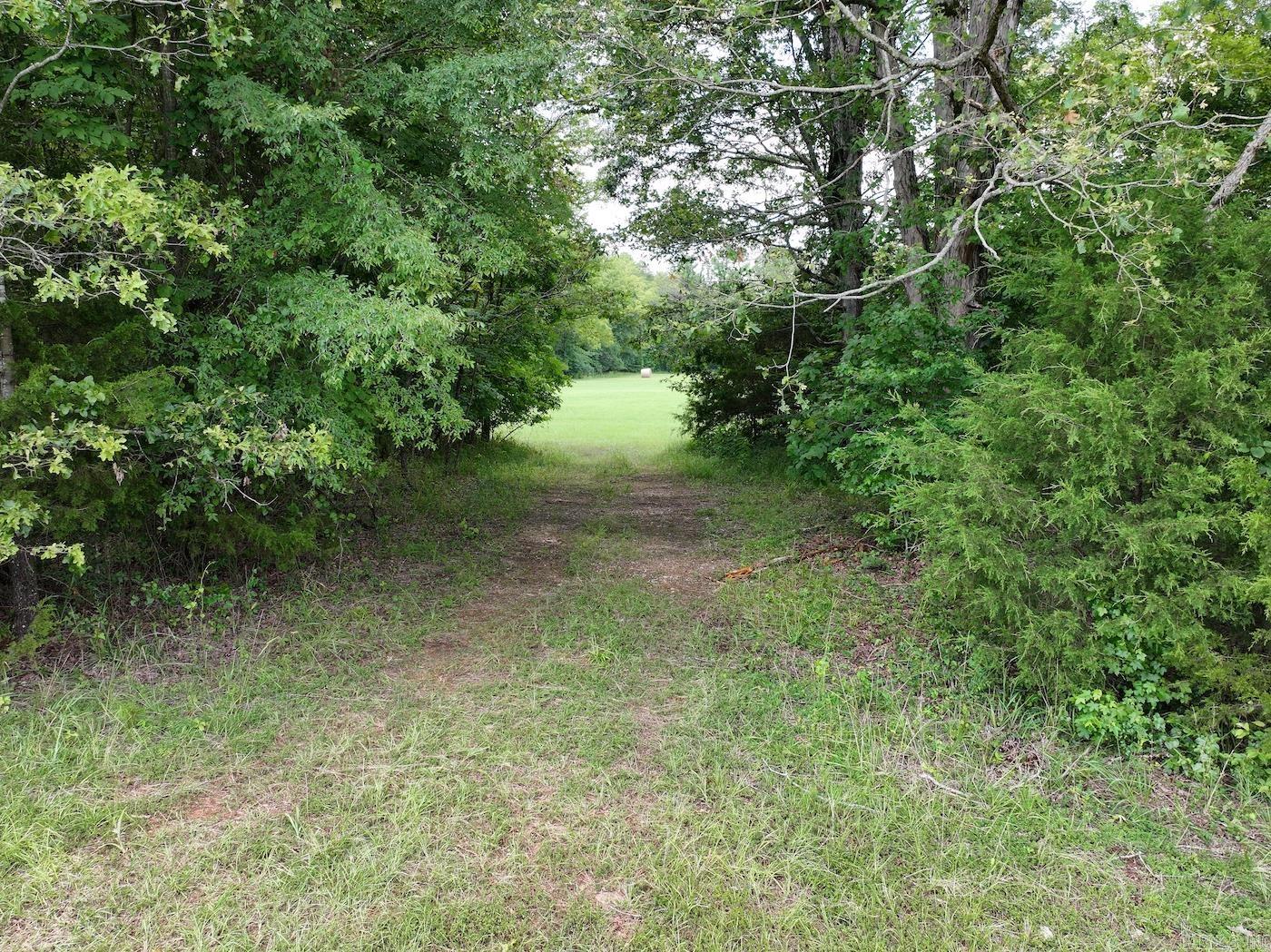 587 Owley  Mount Ida, AR