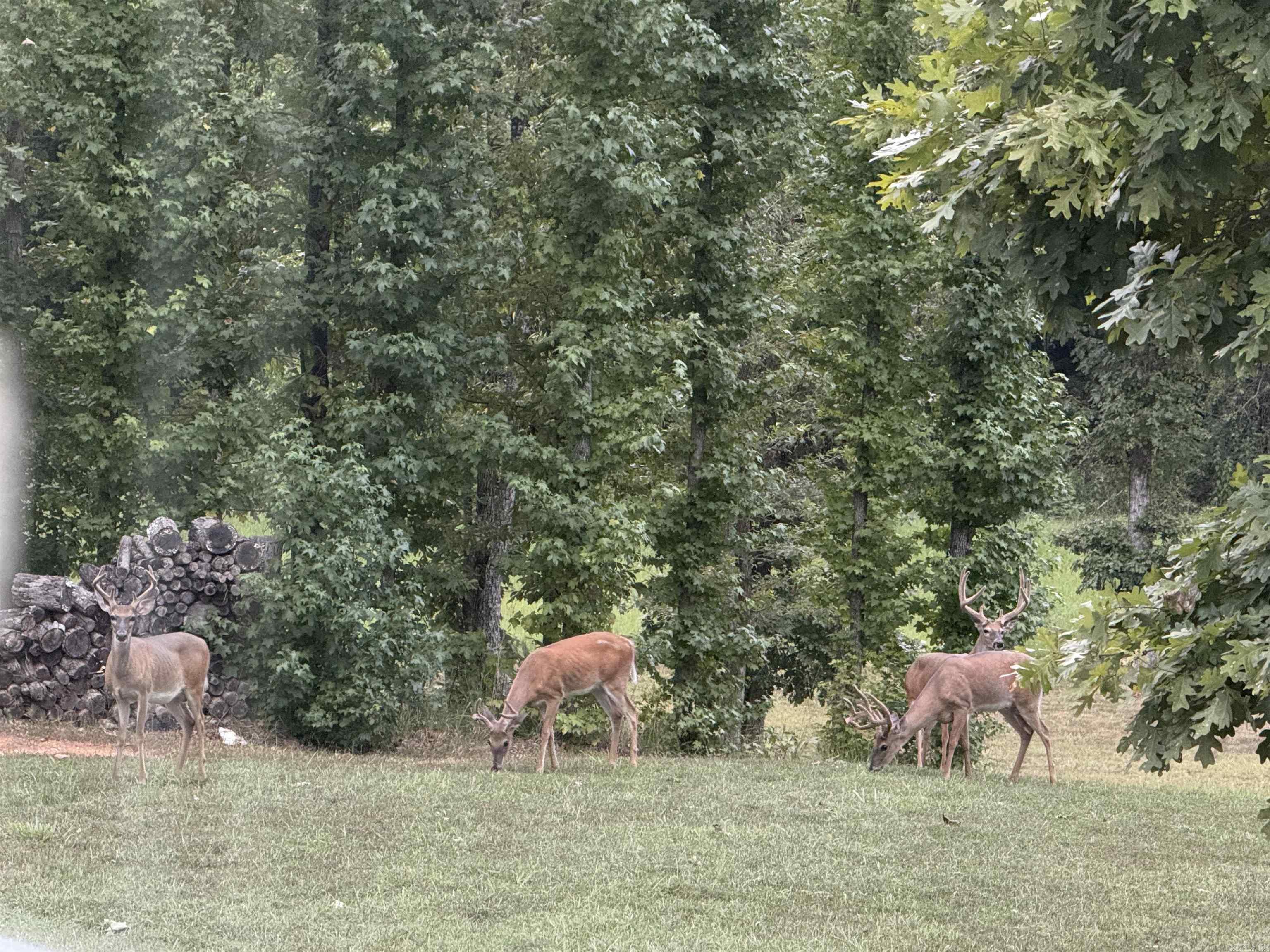 587 Owley  Mount Ida, AR