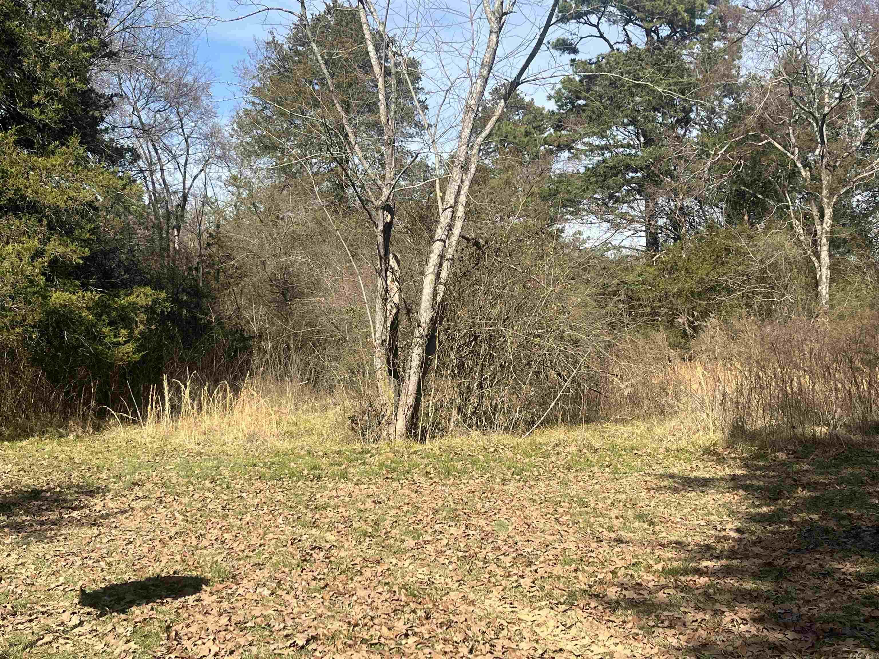 975 Jenkins Ferry  Knoxville, AR