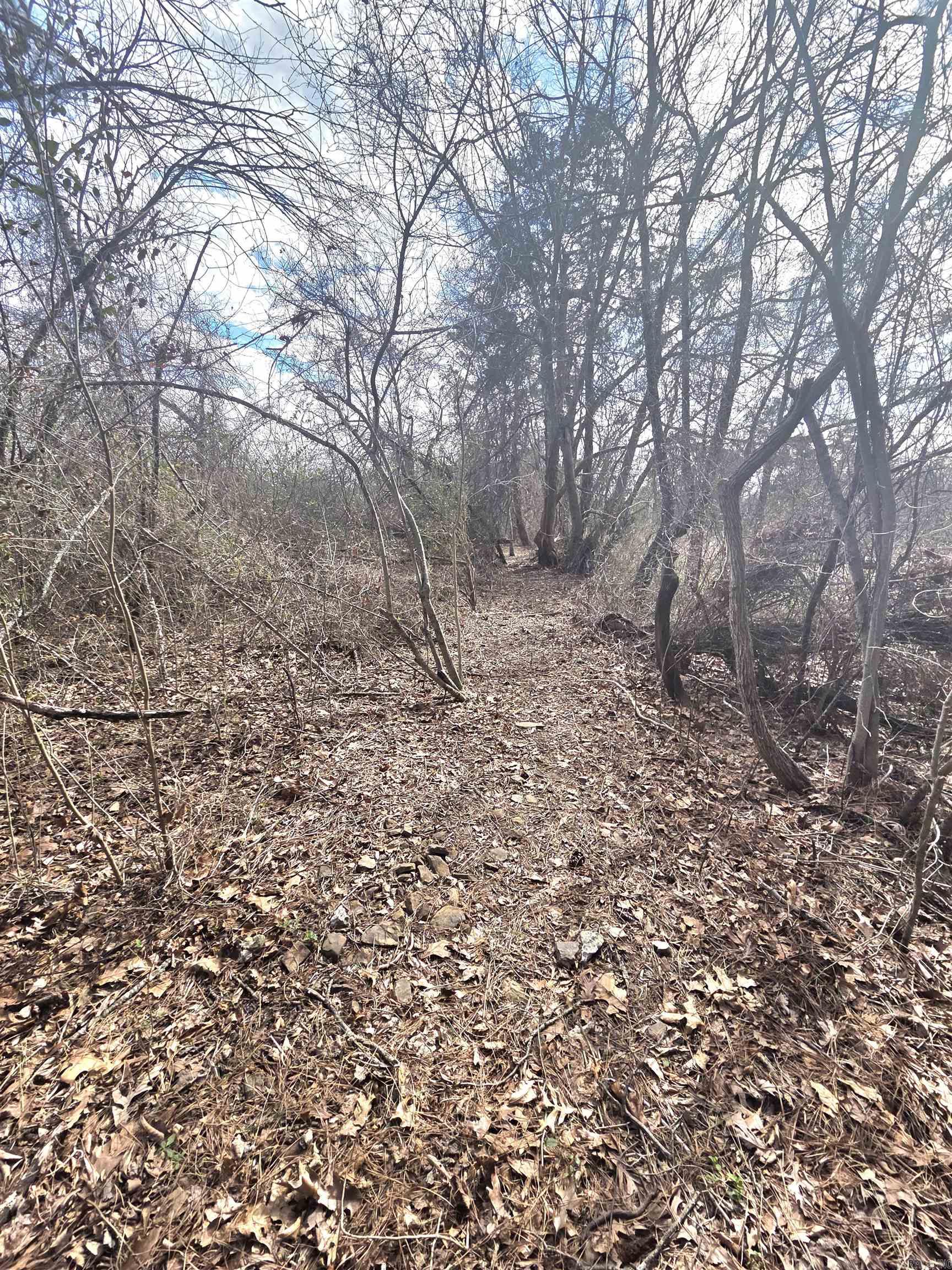 7102 Luber  Mountain View, AR