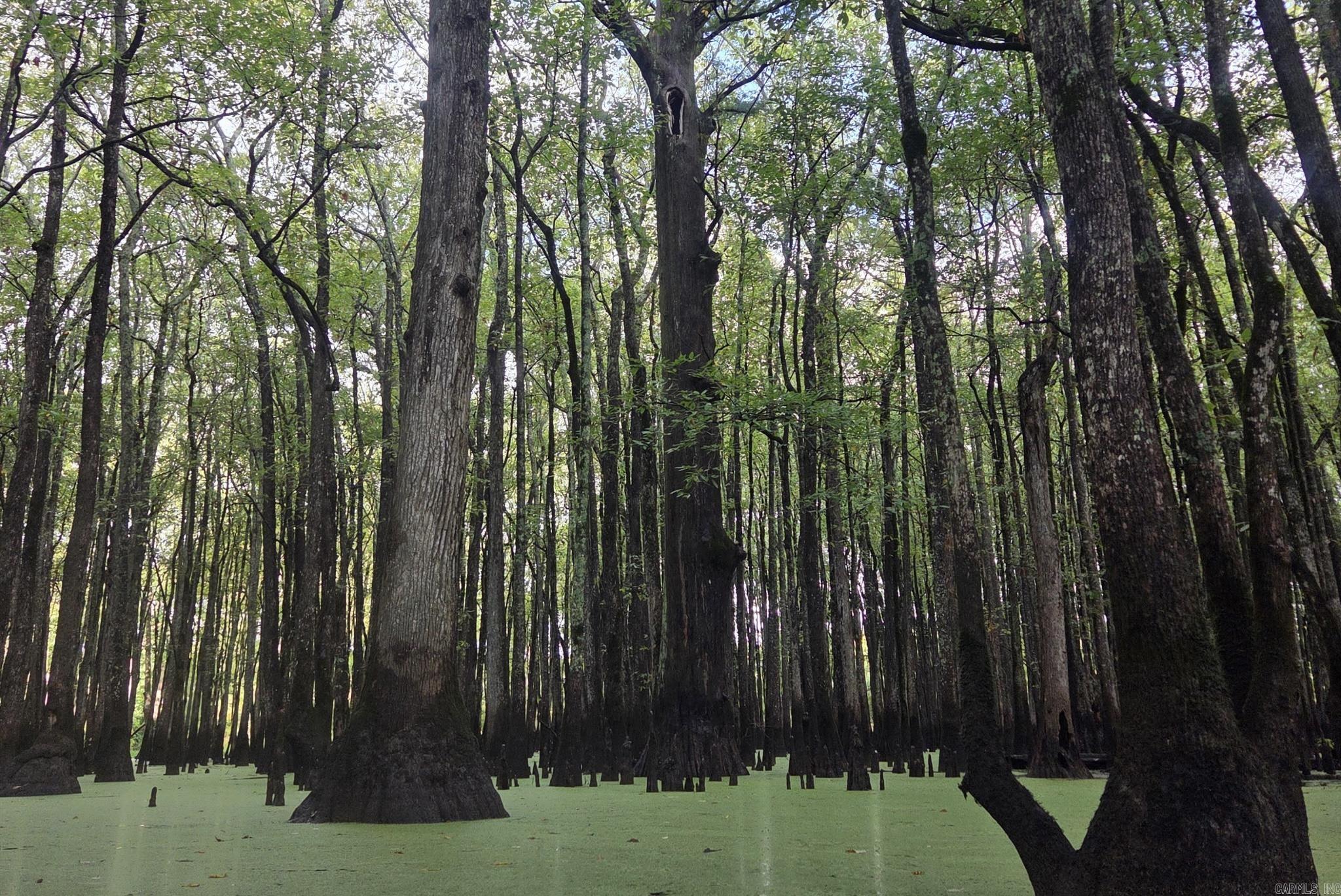  0 Lee Rd 177  Aubrey, AR