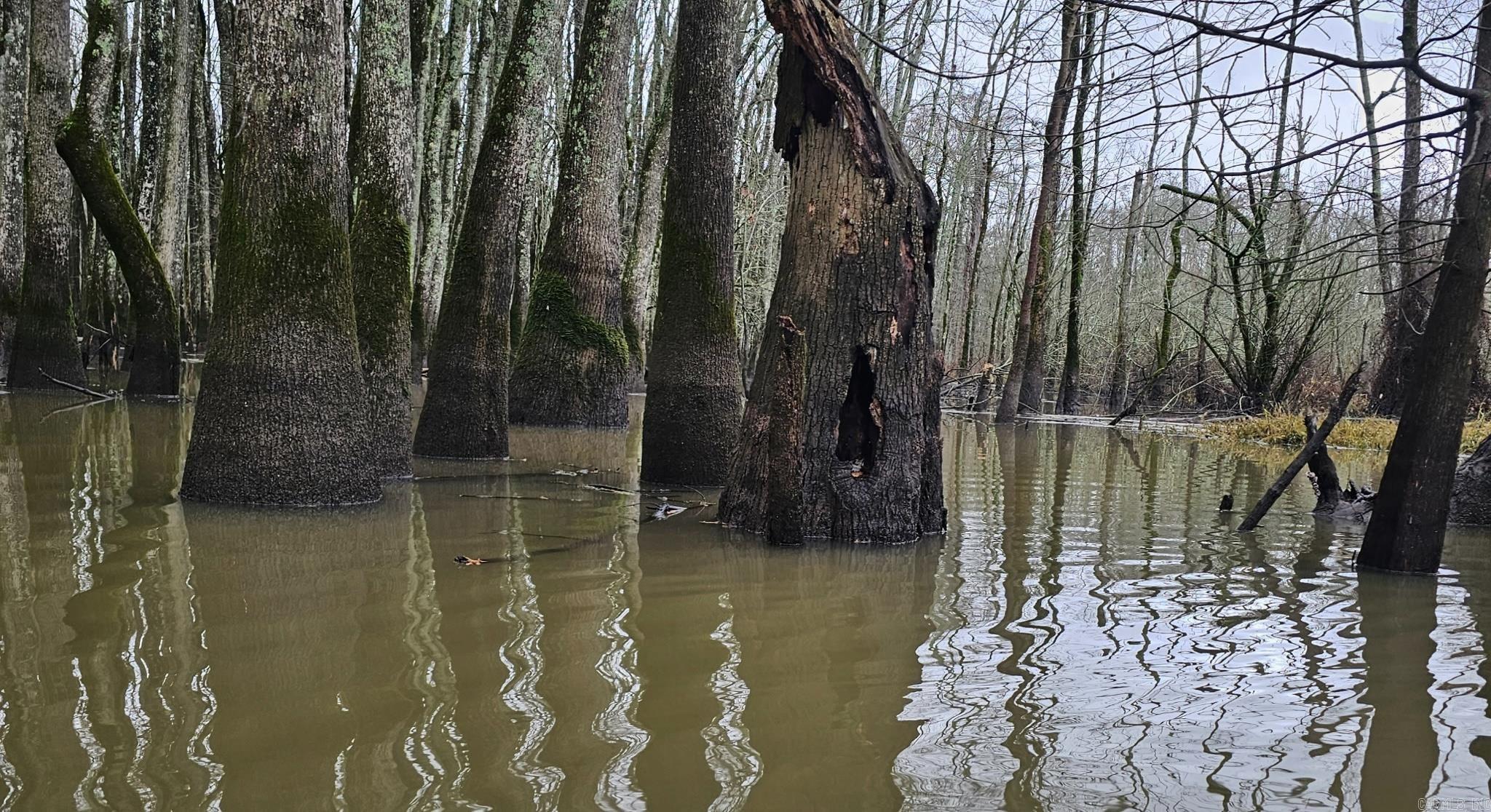  0 Lee Rd 177  Aubrey, AR