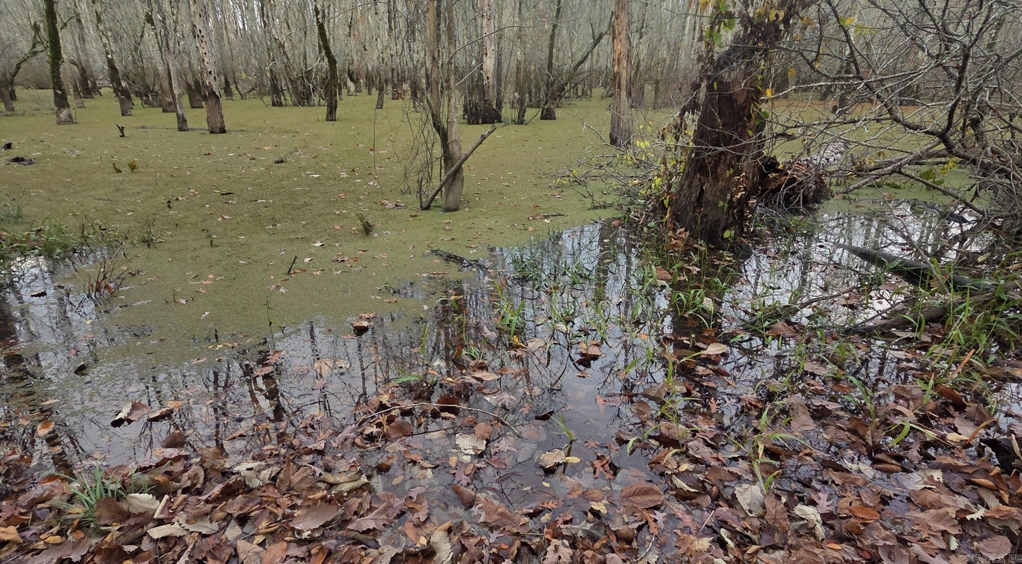  0 Lee Rd 177  Aubrey, AR