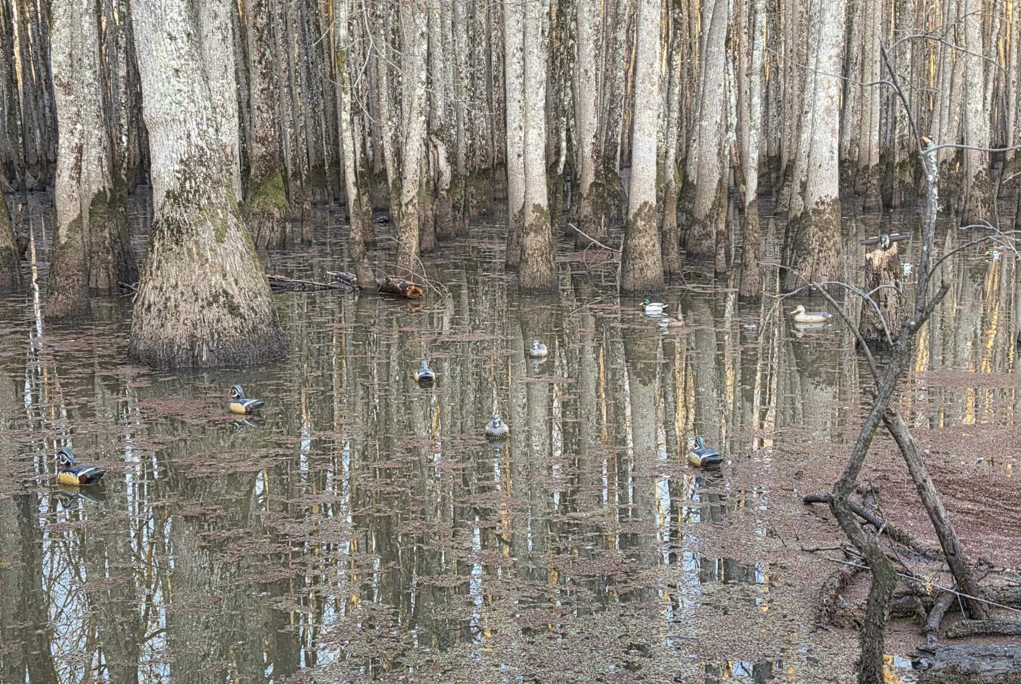  0 Lee Rd 177  Aubrey, AR