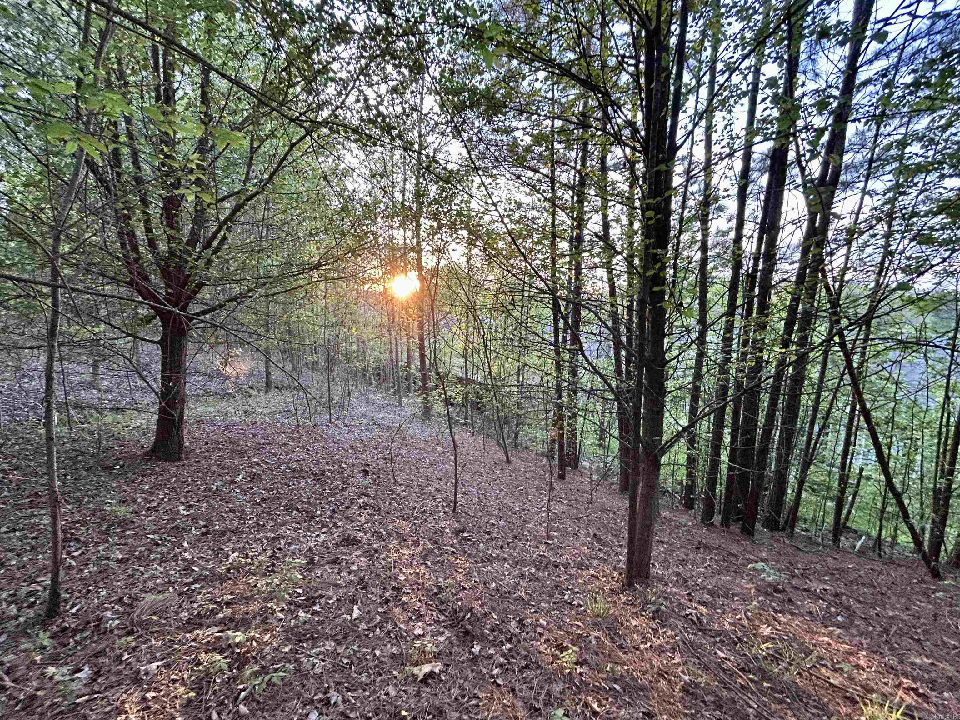 413 SHARON OAKS Benton, AR 72019