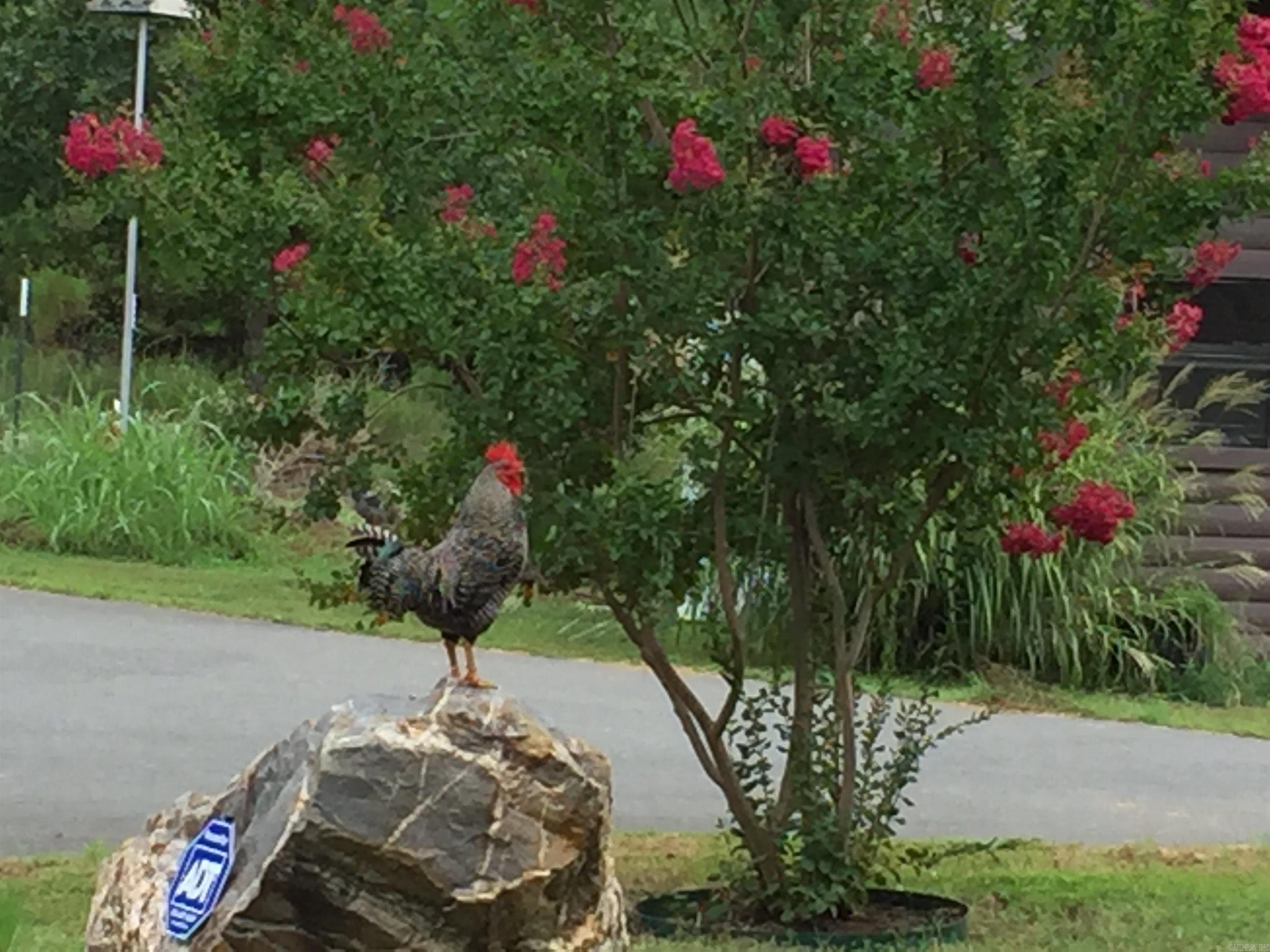 280 Brookhill Ranch  Hot Springs, AR