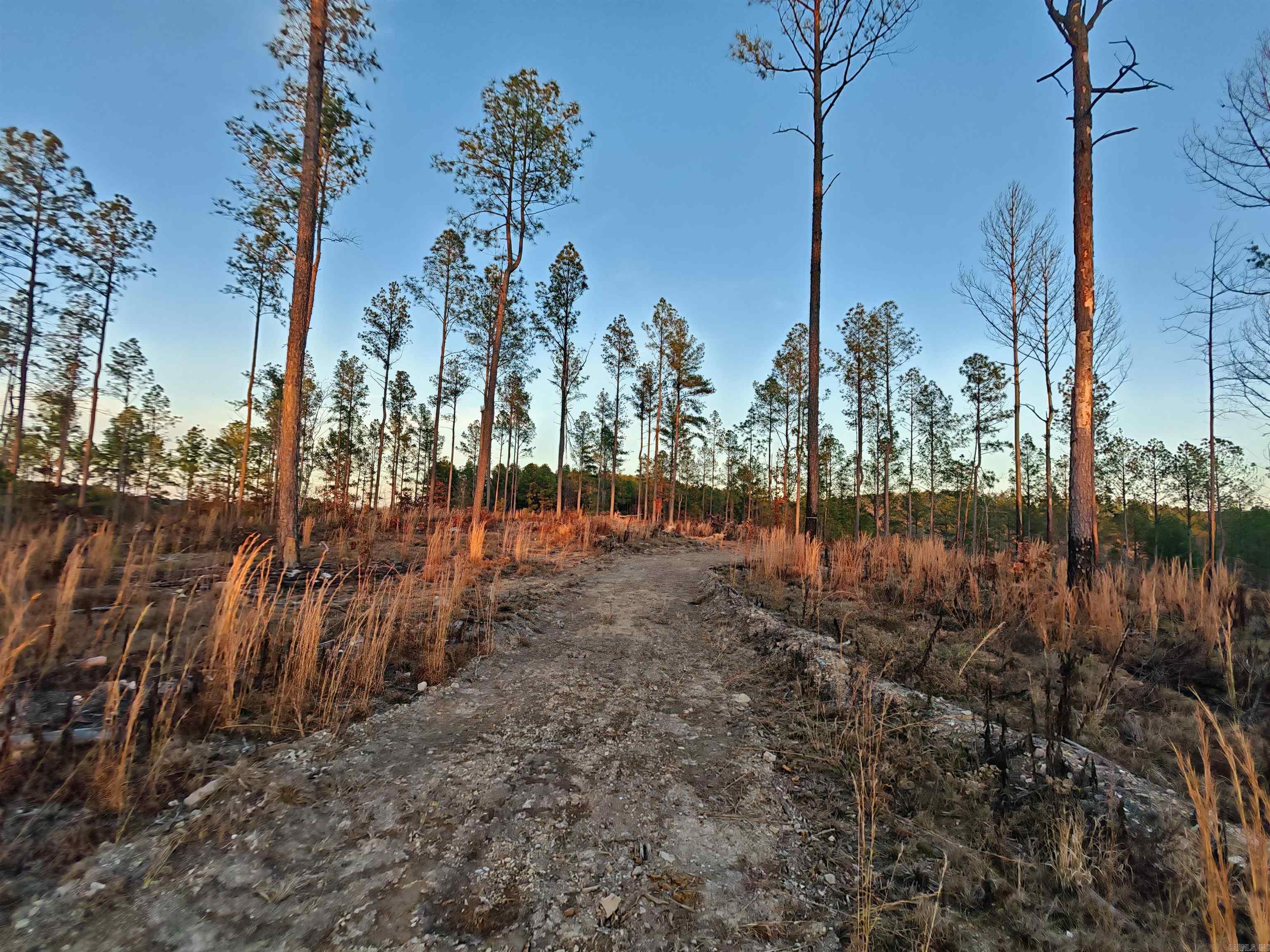 280 Brookhill Ranch  Hot Springs, AR