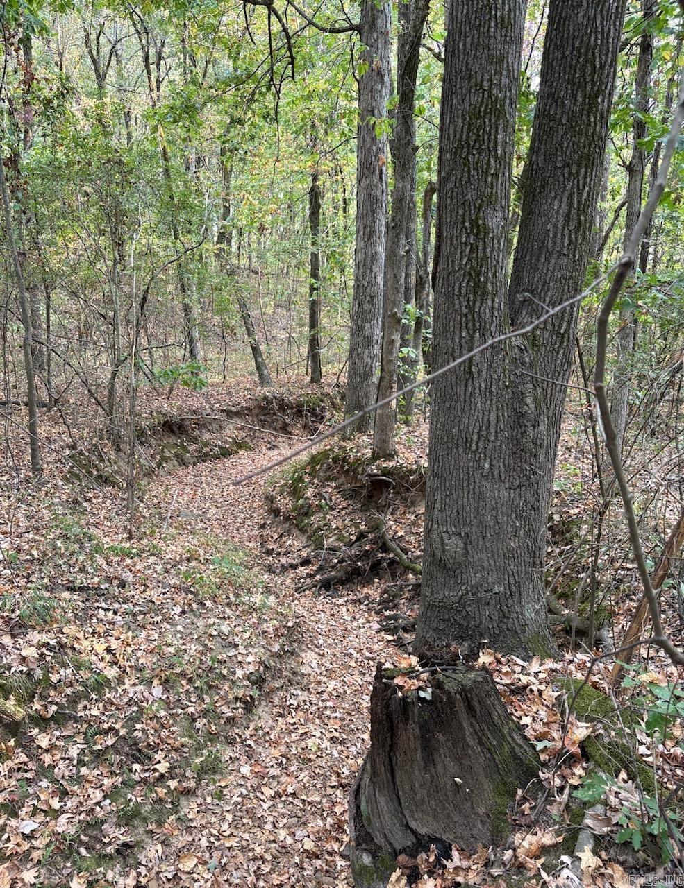 3.03 Acres County Road 389  Bono, AR