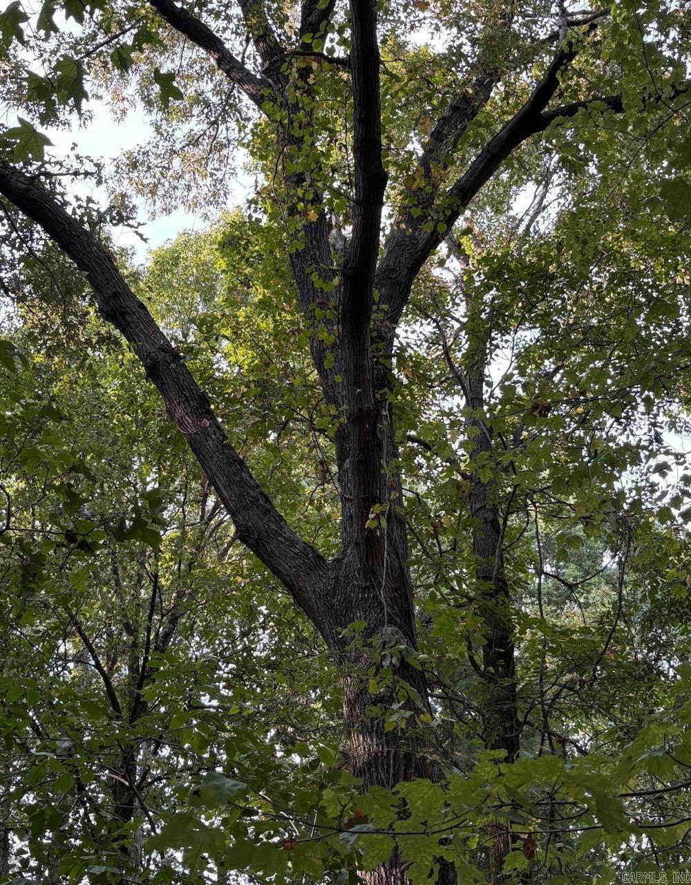 3.03 Acres County Road 389  Bono, AR