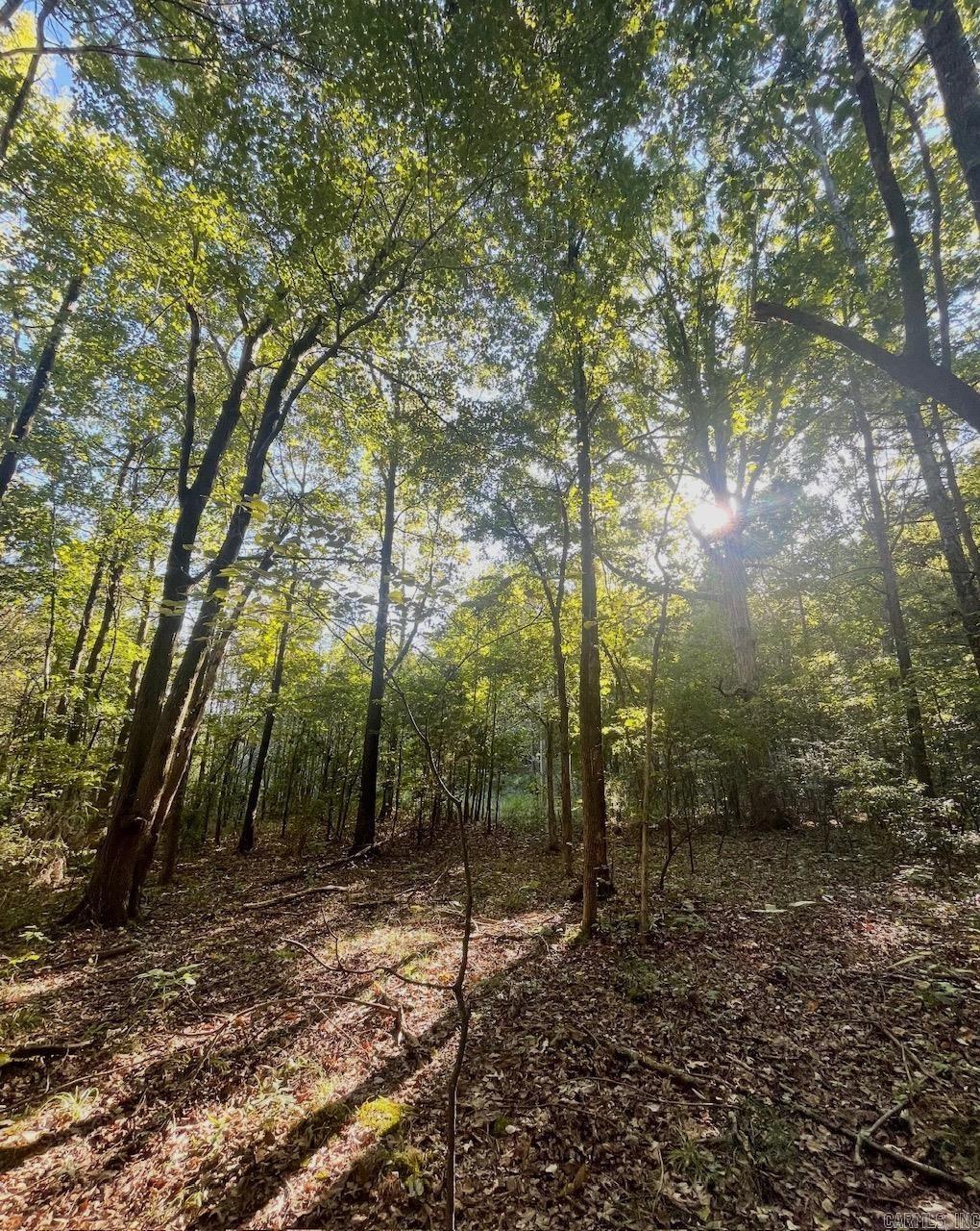 3.03 Acres County Road 389  Bono, AR